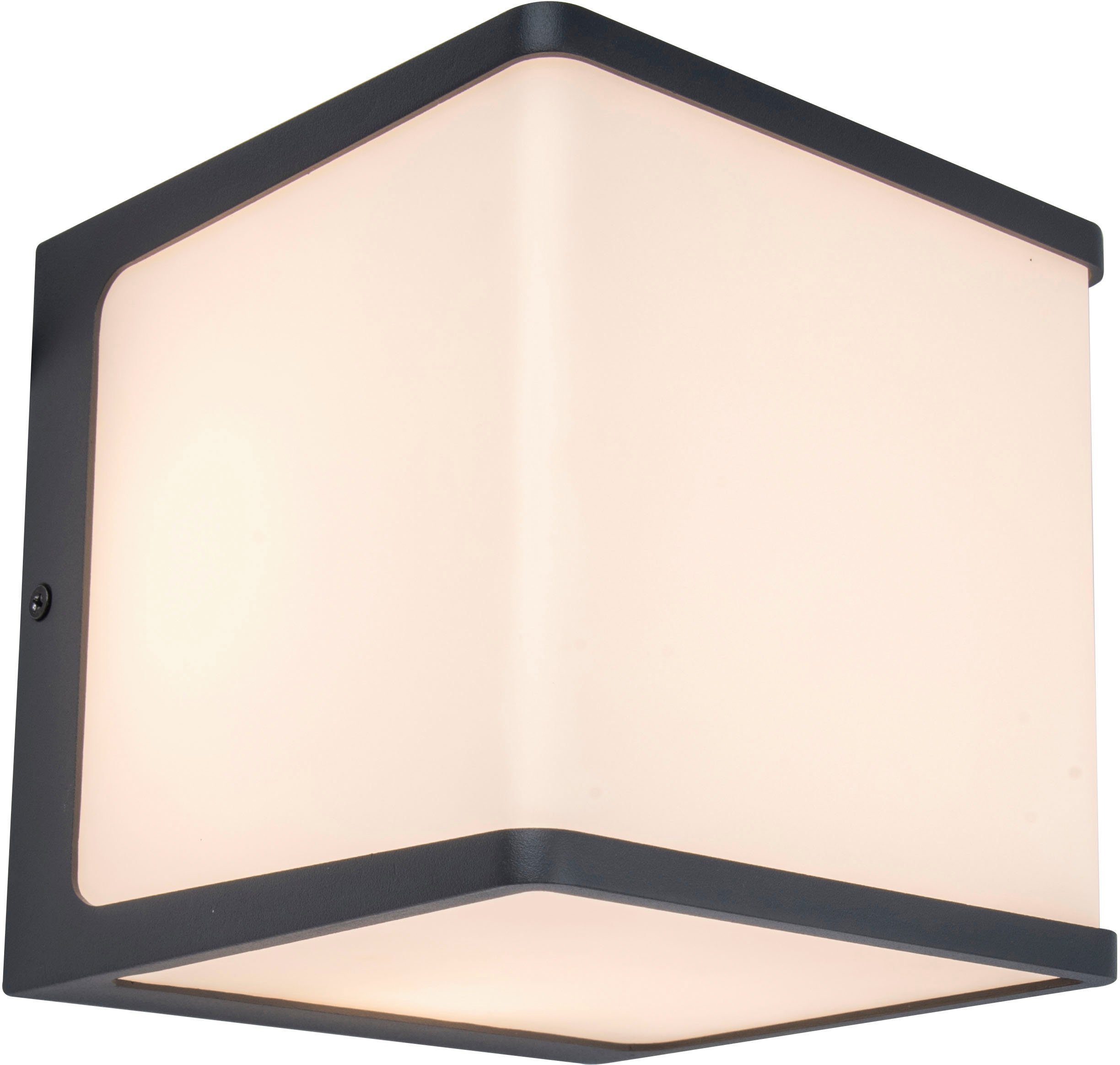LUTEC Ledwandlamp voor buiten DOBLO (1 stuk)