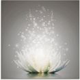 artland print op glas magie van de lotusbloem (1 stuk) grijs