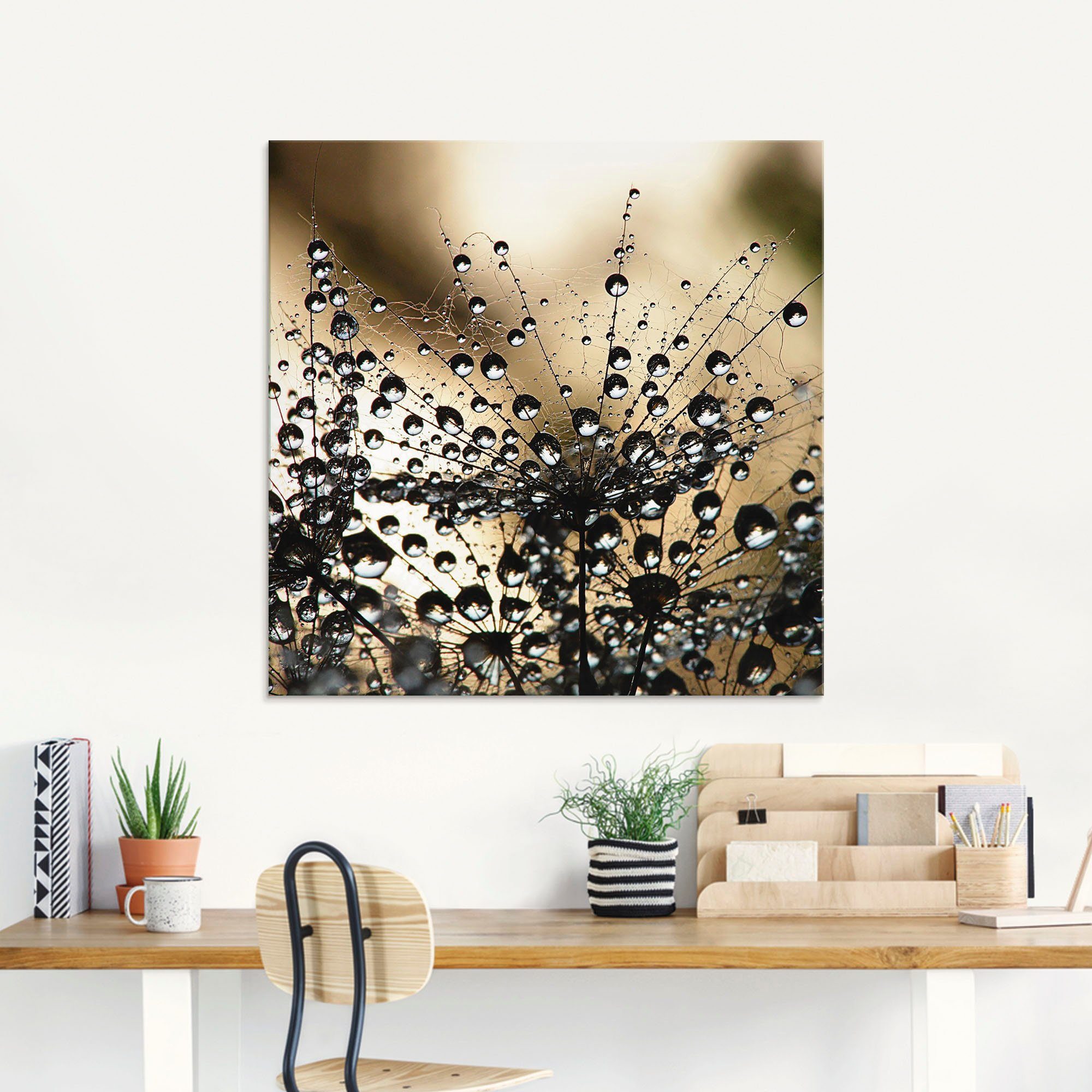 Artland Print op glas Natte paardenbloem in verschillende maten