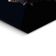 reinders! print op glas artprint op glas leguaan christian zeemeerman - dier - reptielen (1 stuk) zwart