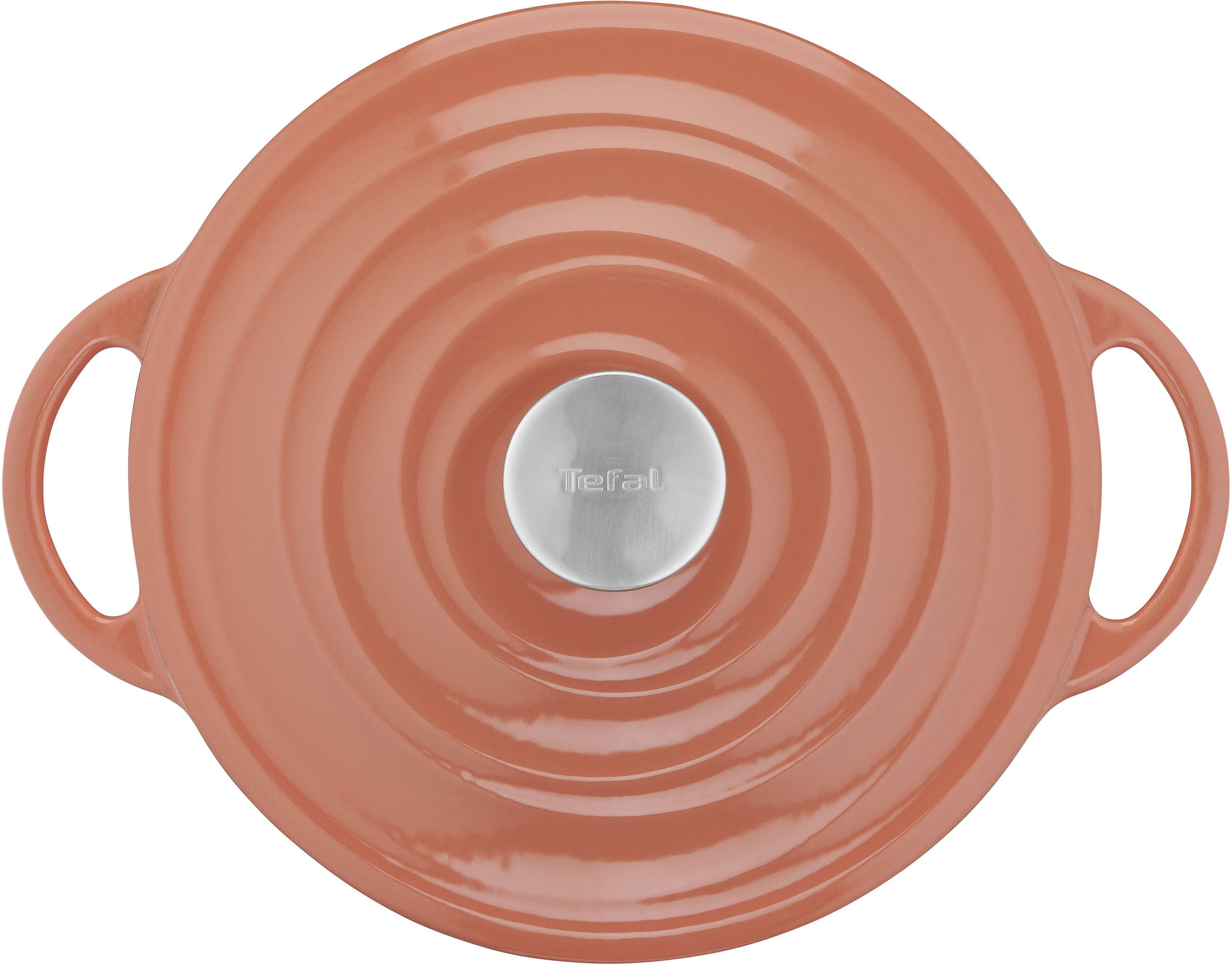 Tefal Kookpan LOV milieuvriendelijk, onschadelijke pigmenten, langzaam garen, ø 25 cm, inductie (1-delig)