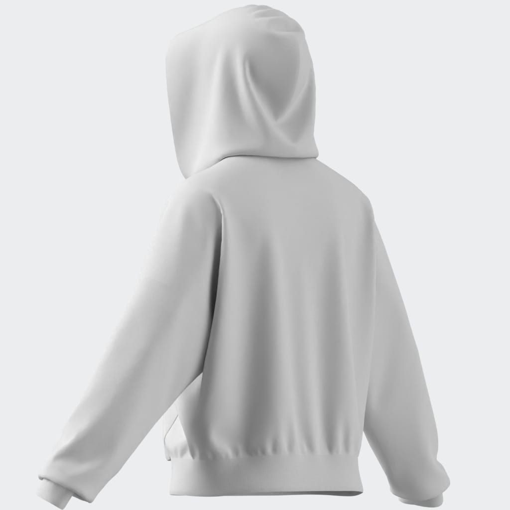 adidas Sportswear Hoodie W BL FT HD