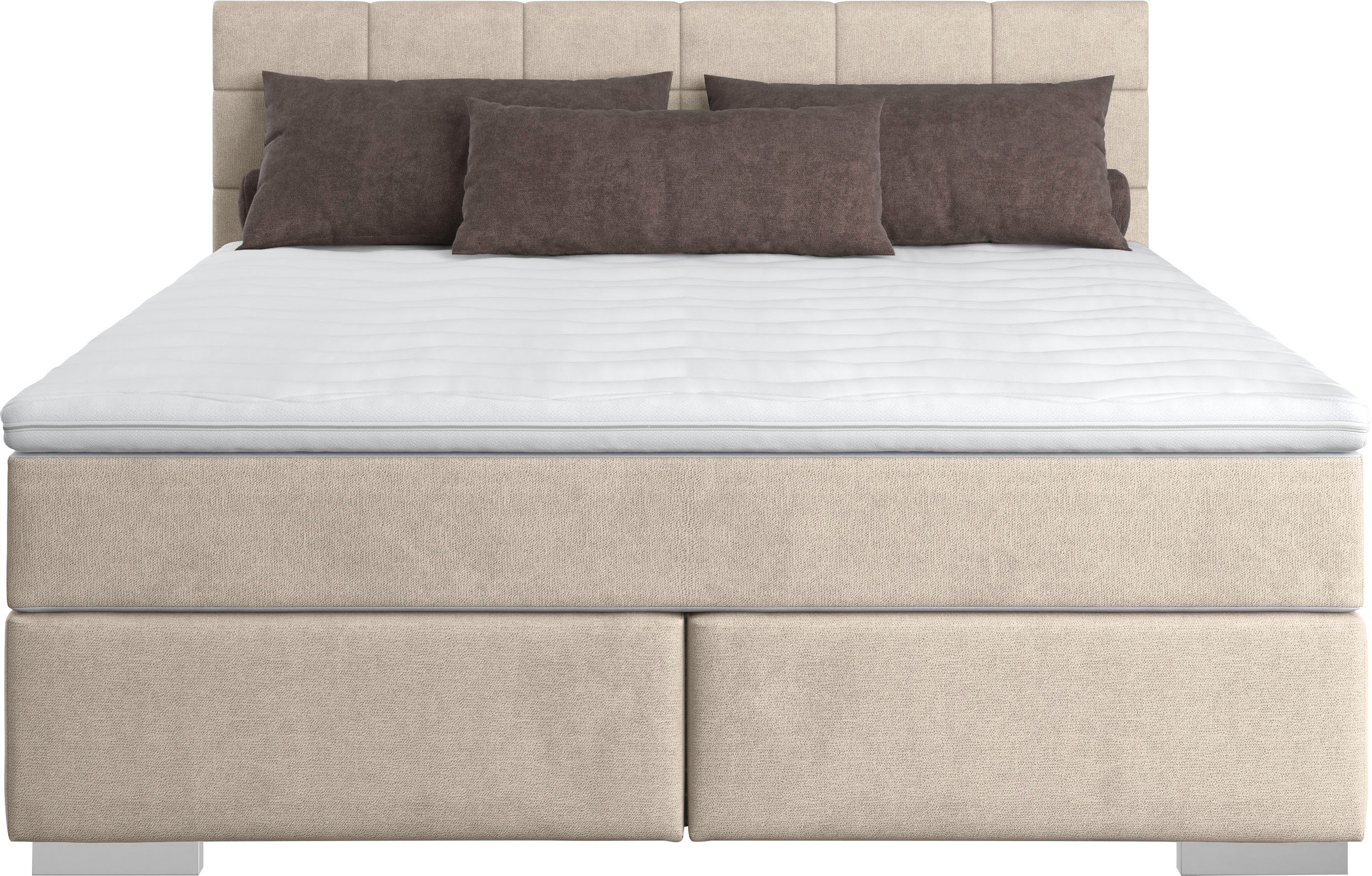 COTTA Boxspring Simba