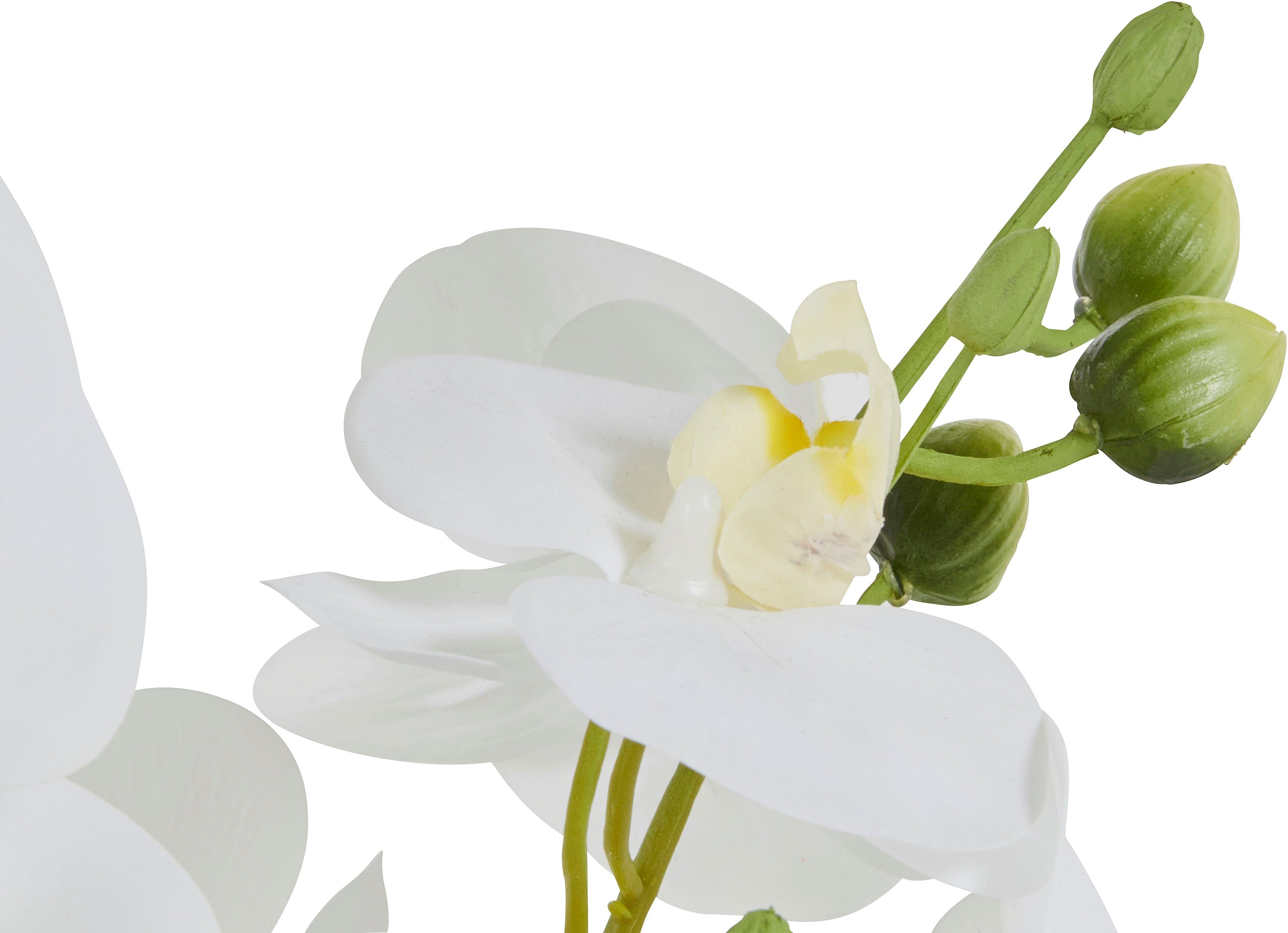 Leonique Kunstplant Orchidee Kunstorchidee, in pot, bestseller, meer dan 2500 4,5-sterren beoordelingen (1 stuk)