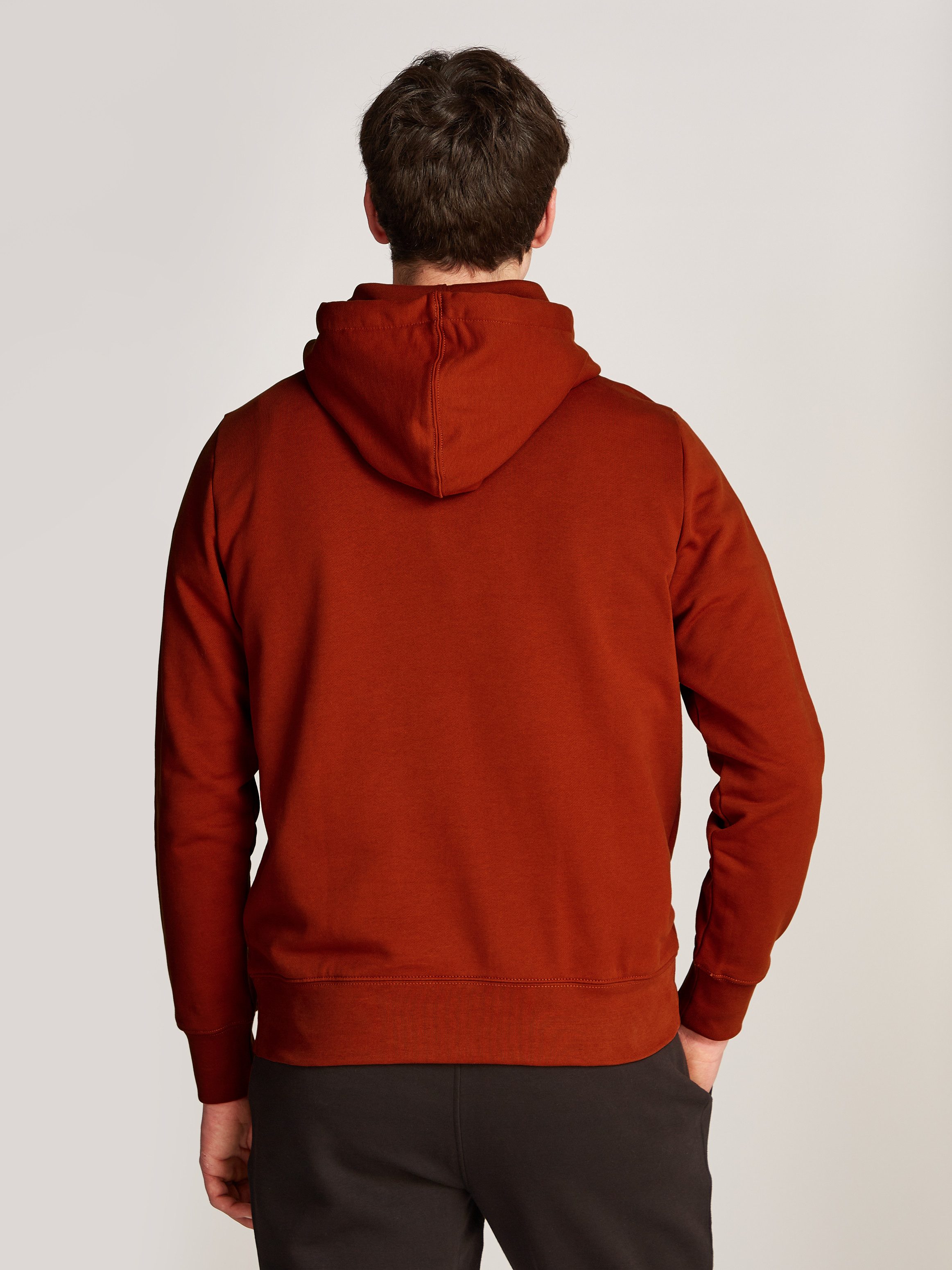 Tommy Hilfiger Hoodie HILFIGER STRIPE TERRY HOODY