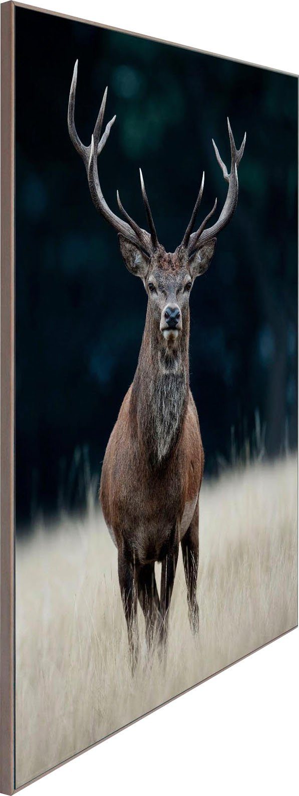 Reinders! Artprint Slim Frame Wood 50x70 Deer