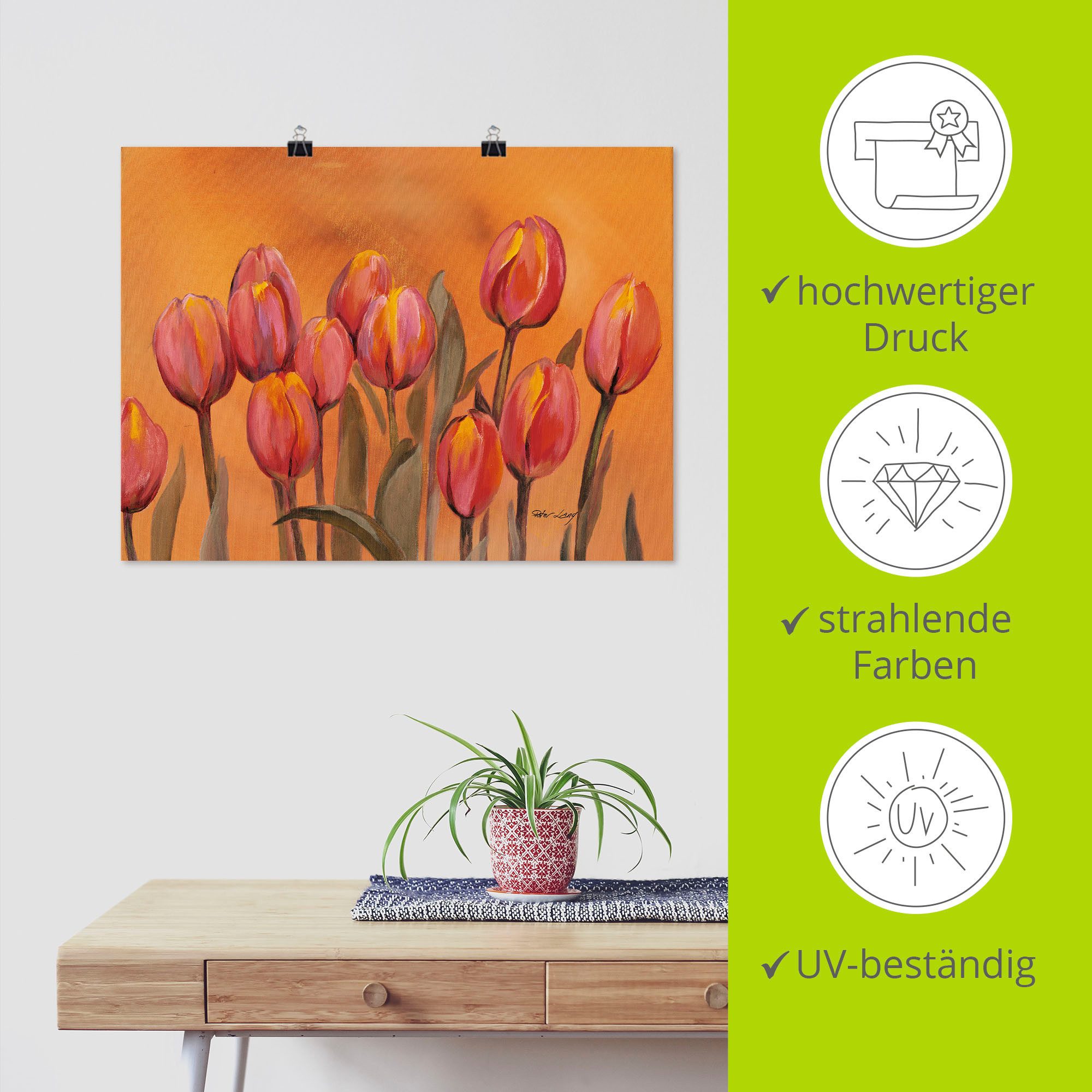 Artland Poster Tulpen als artprint van aluminium, artprint op linnen, muursticker of poster in verschillende maten