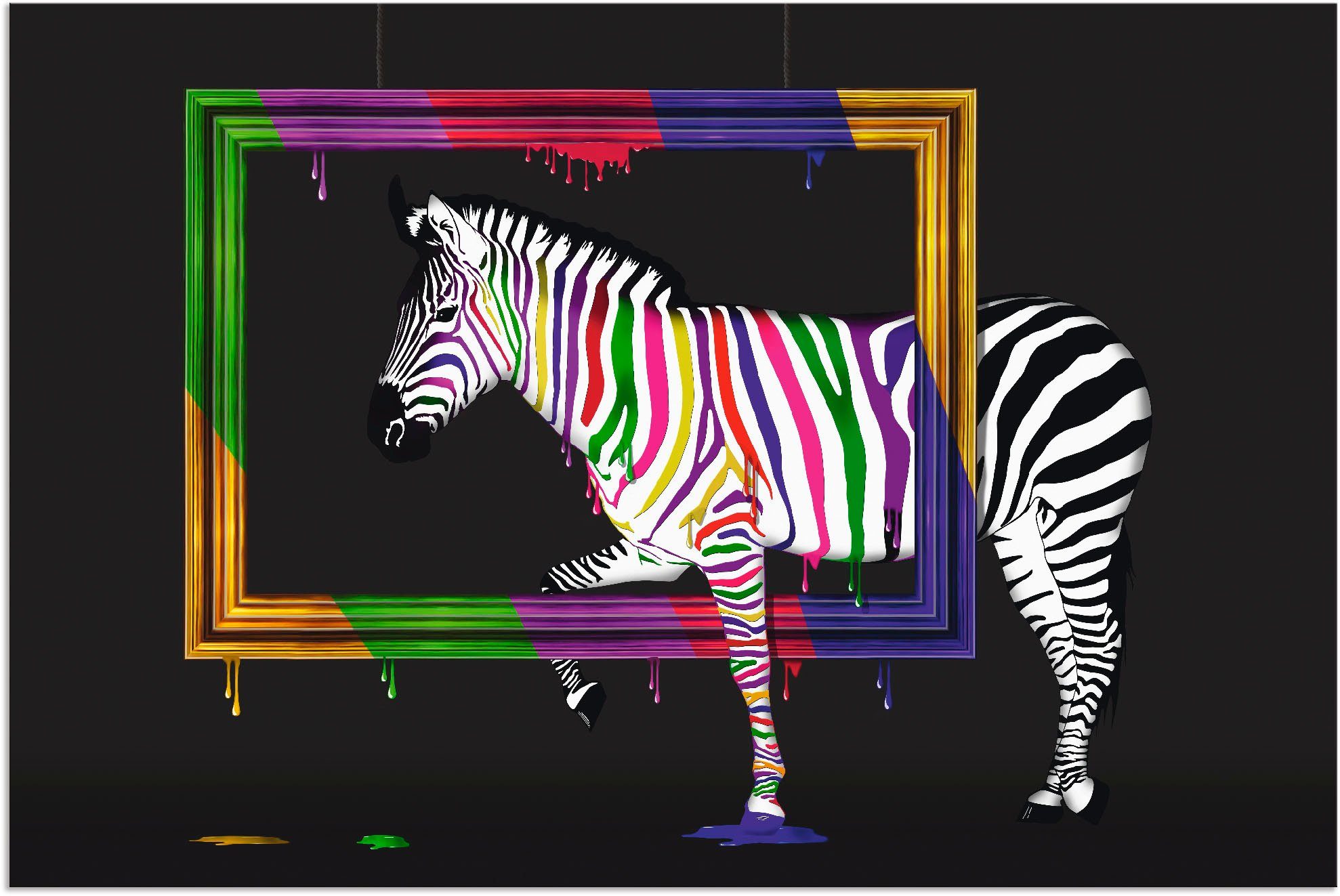 Artland Artprint De regenboog zebra in vele afmetingen & productsoorten - artprint van aluminium / artprint voor buiten, artprint op linnen, poster, muursticker / wandfolie ook ges