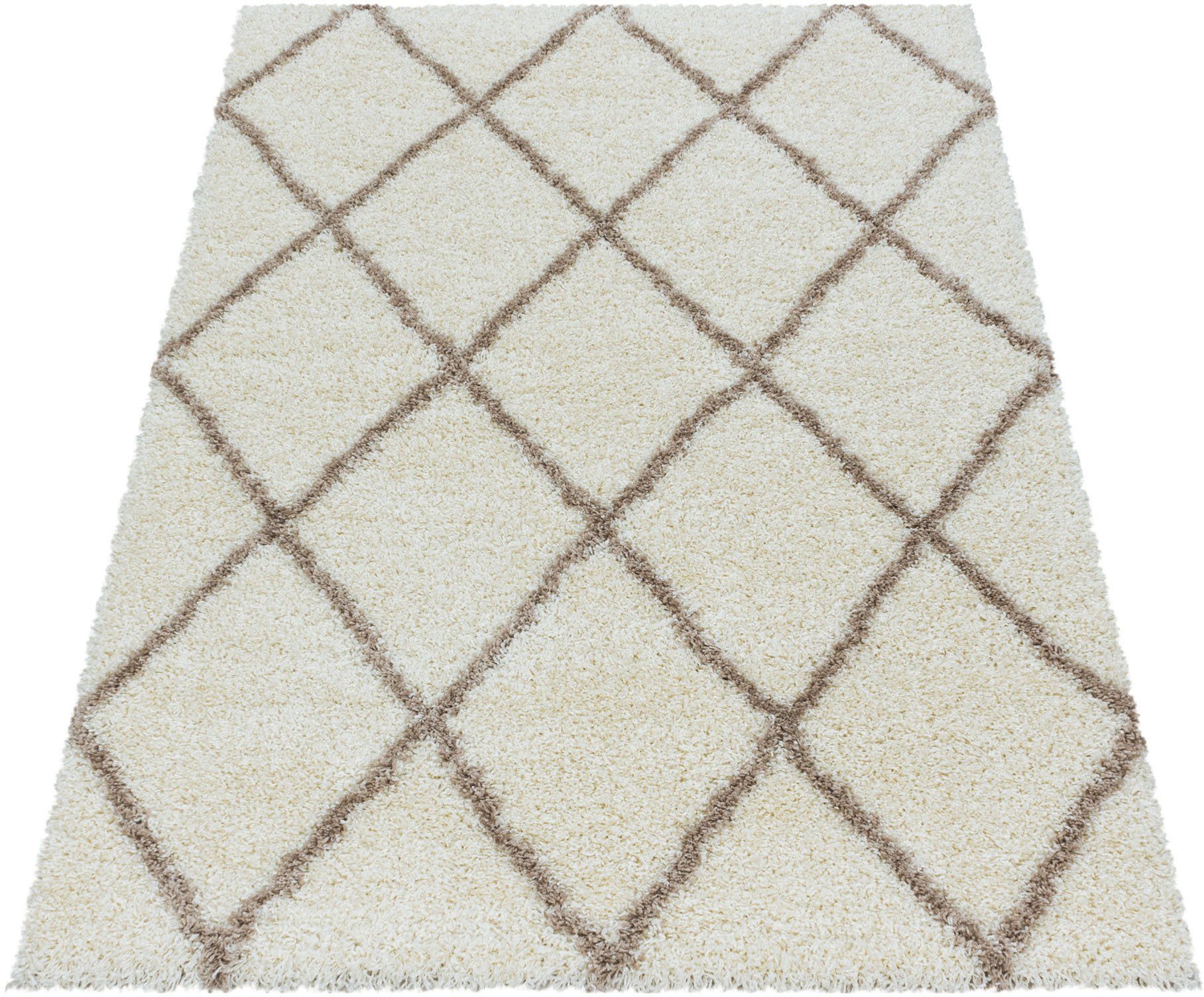 Ayyildiz Teppiche Hoogpolig vloerkleed ALVOR 3401