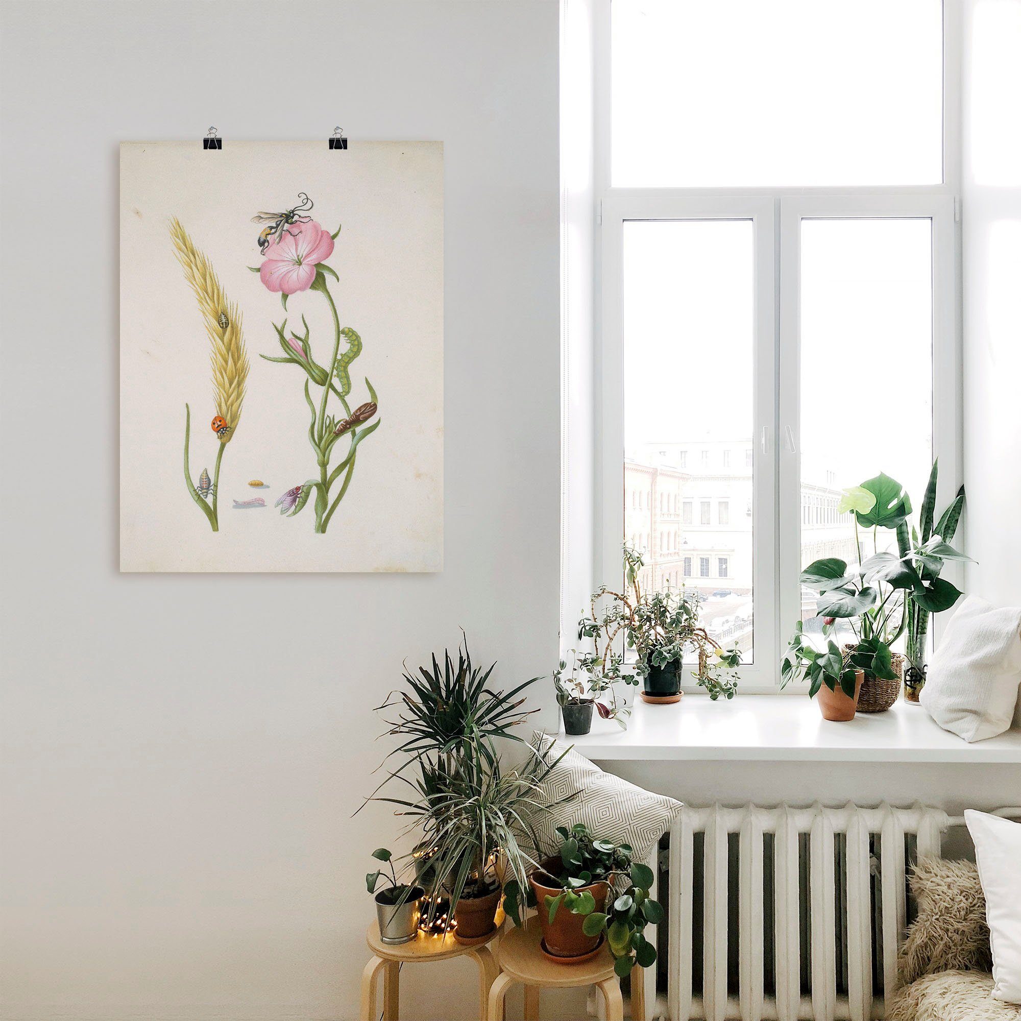 Artland Artprint Lieveheersbeestje korenaar larven en poppen. als artprint op linnen, muursticker of poster in verschillende maten