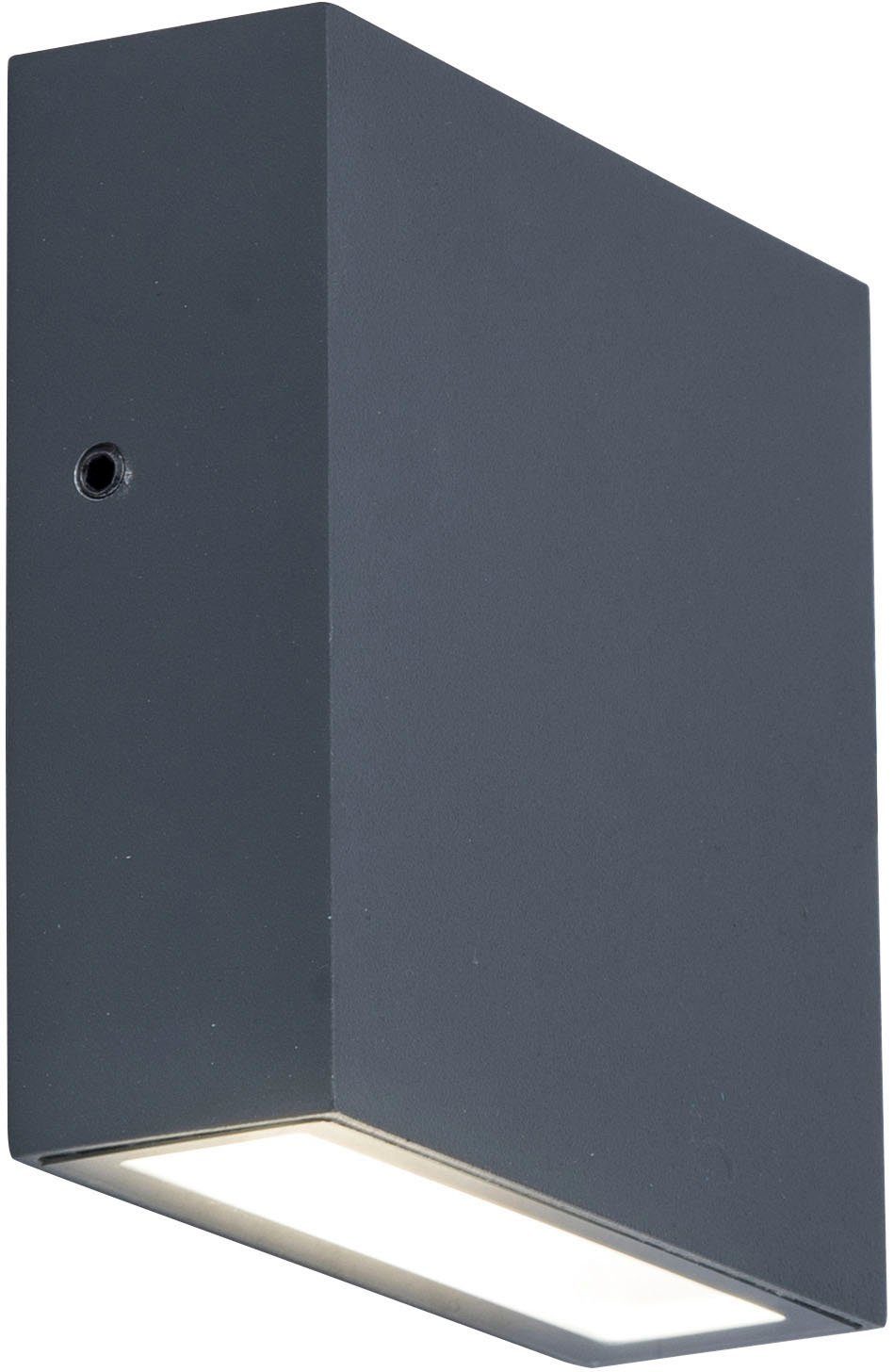LUTEC Ledwandlamp voor buiten GEMINI XF (1 stuk)
