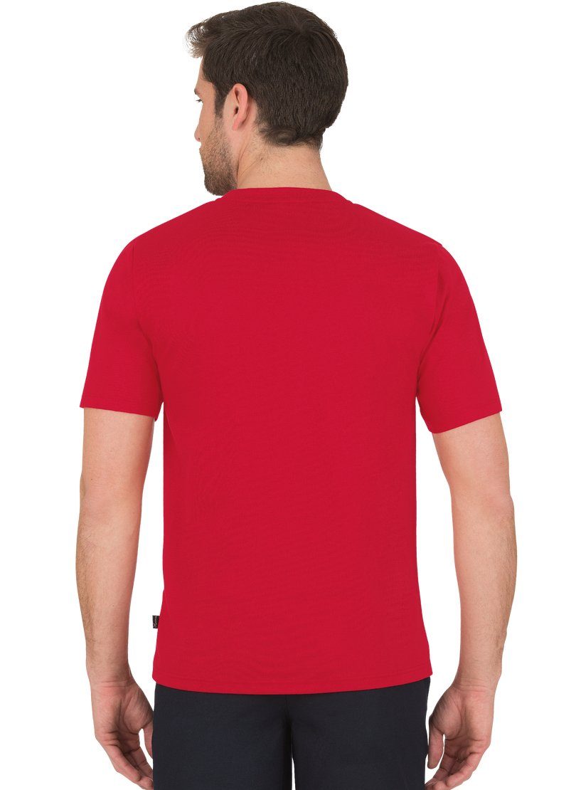 Trigema T-shirt TRIGEMA shirt met V-hals DELUXE (1-delig)