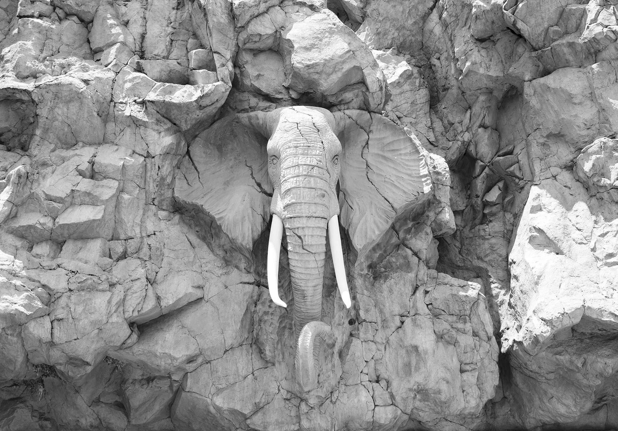 Consalnet Fotobehang Olifant in rots