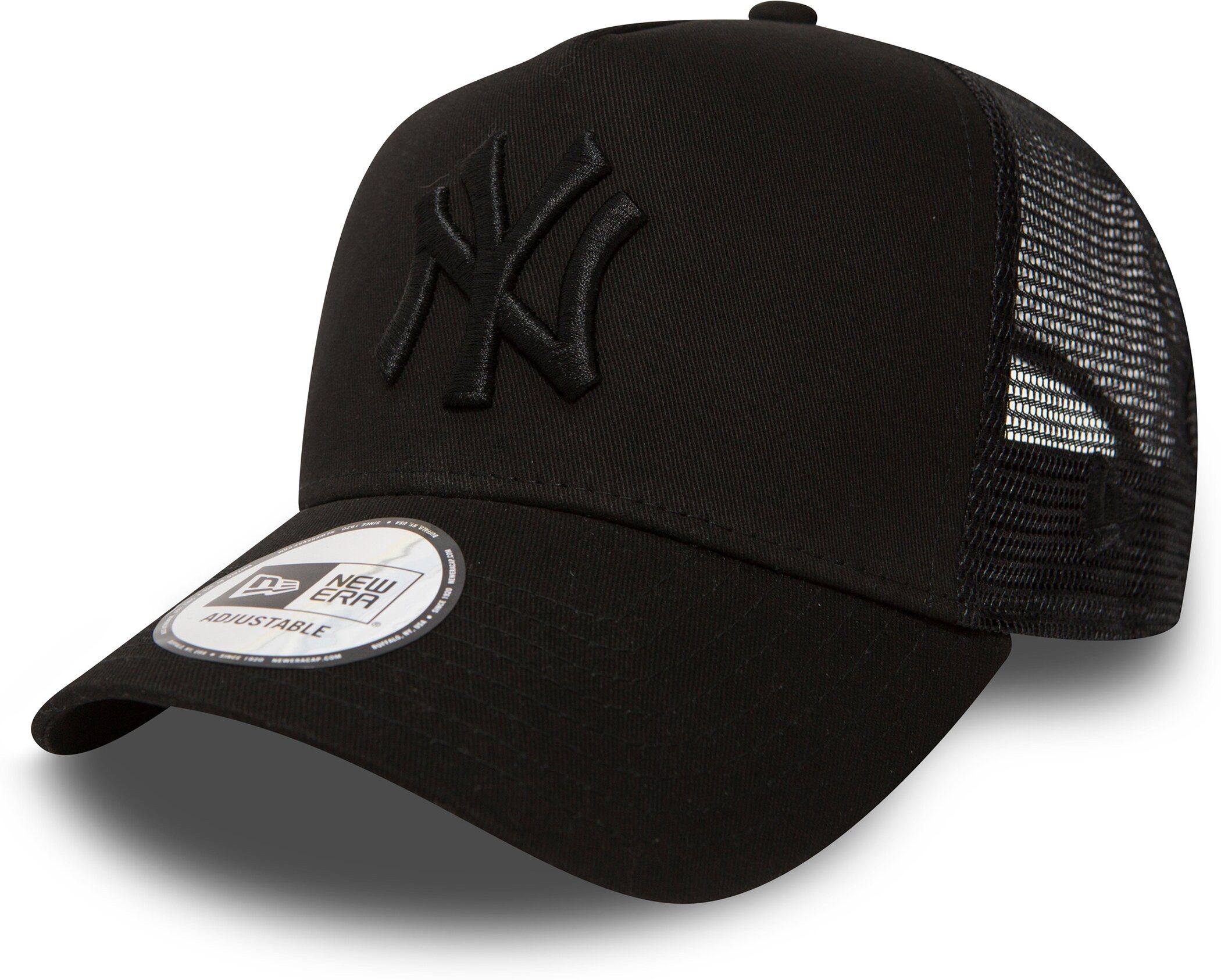 New Era Baseball pet