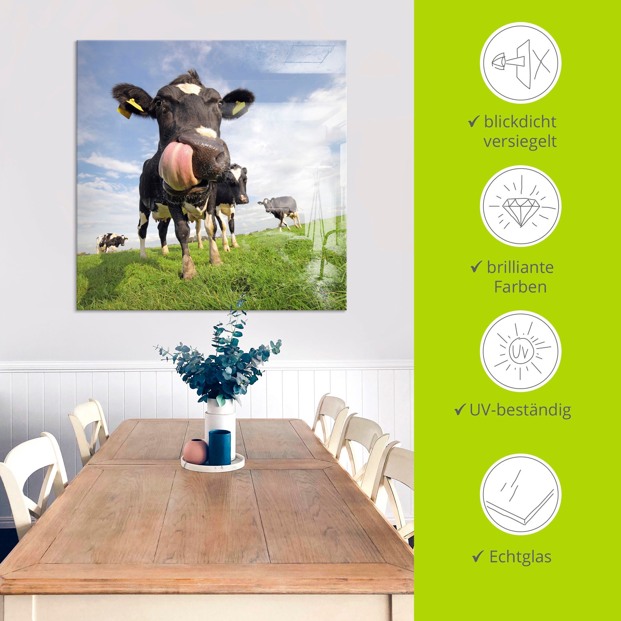 Artland Print op glas Holstein-koe met enorme tong