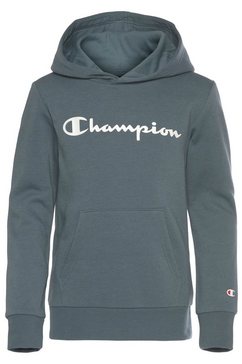 champion hoodie hooded sweatshirt grijs