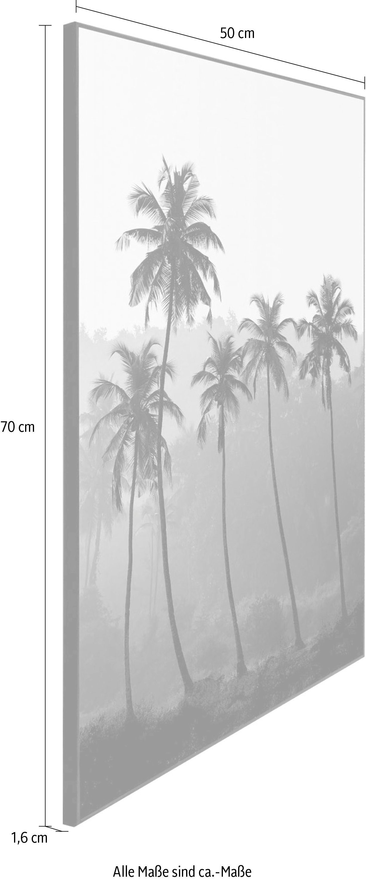 Reinders! Artprint Slim Frame Black 50x70 High Palms