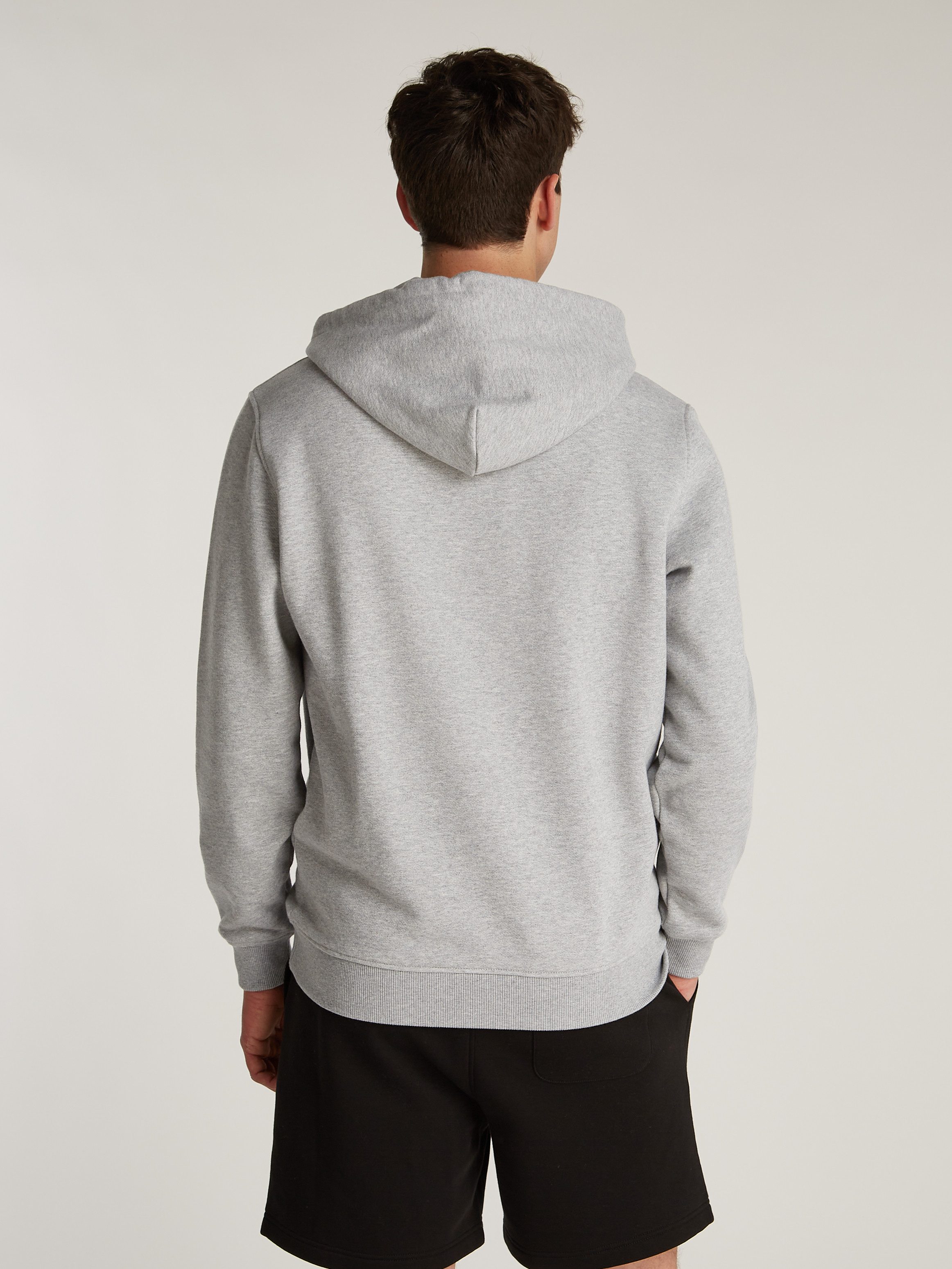 TOMMY JEANS Hoodie TJM REG BADGE HOODIE EXT