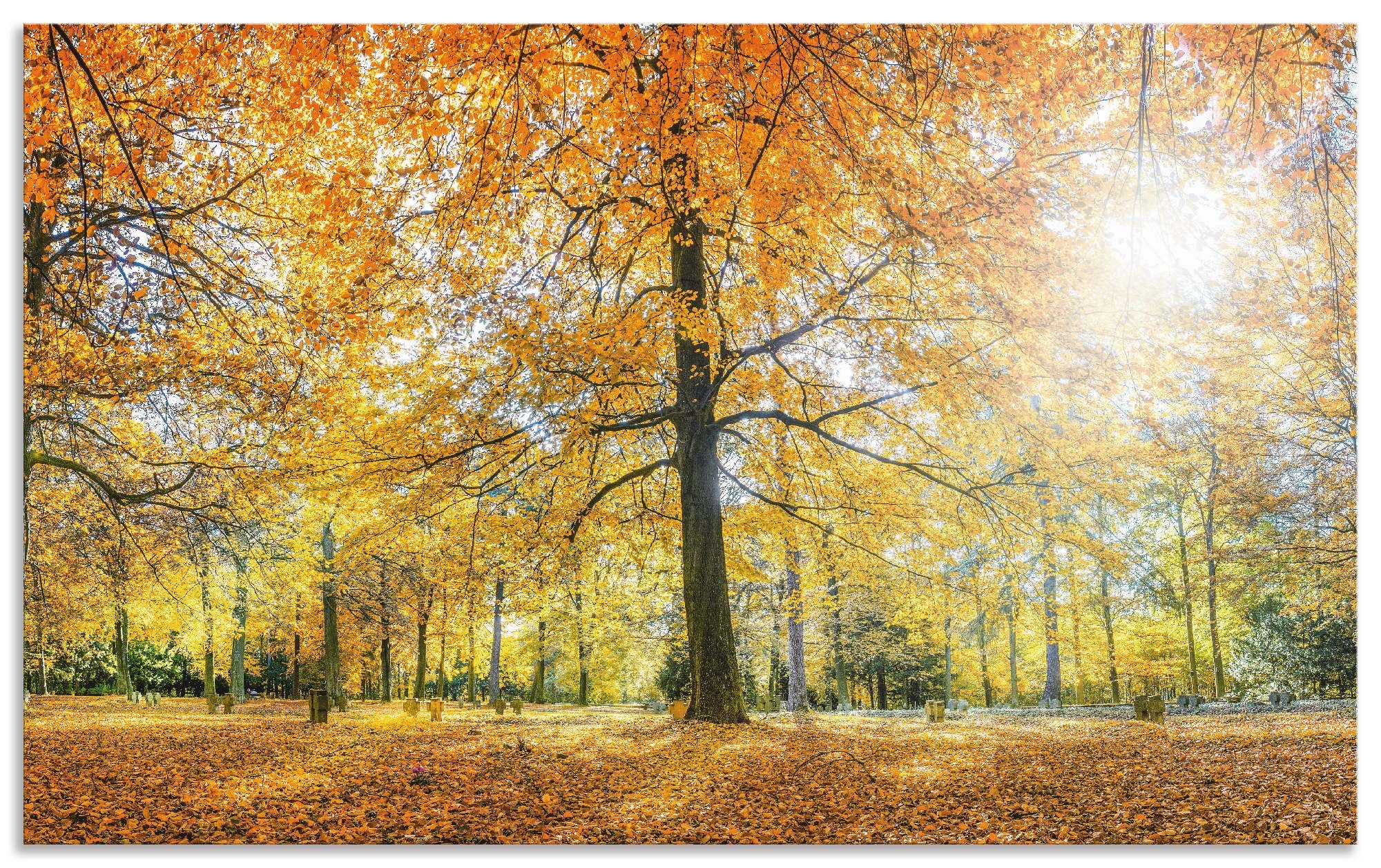 Artland Keukenwand Herfstbos panorama zelfklevend in vele maten - spatscherm keuken achter kookplaat en spoelbak als wandbescherming tegen vet, water en vuil - achterwand, wandbekl