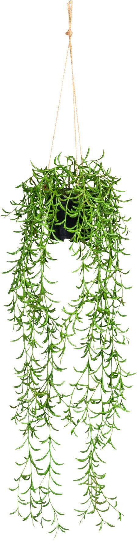 Creativ green Kunstplant Nerifolia-hanger in hangpot van kunststof