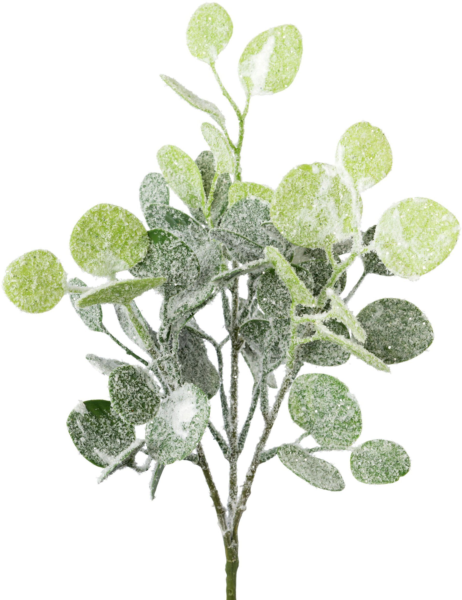 Creativ green Winterse kunstplant Kerst versiering Tak met kunstsneeuw bedekt, 3-delige set (3 stuks)