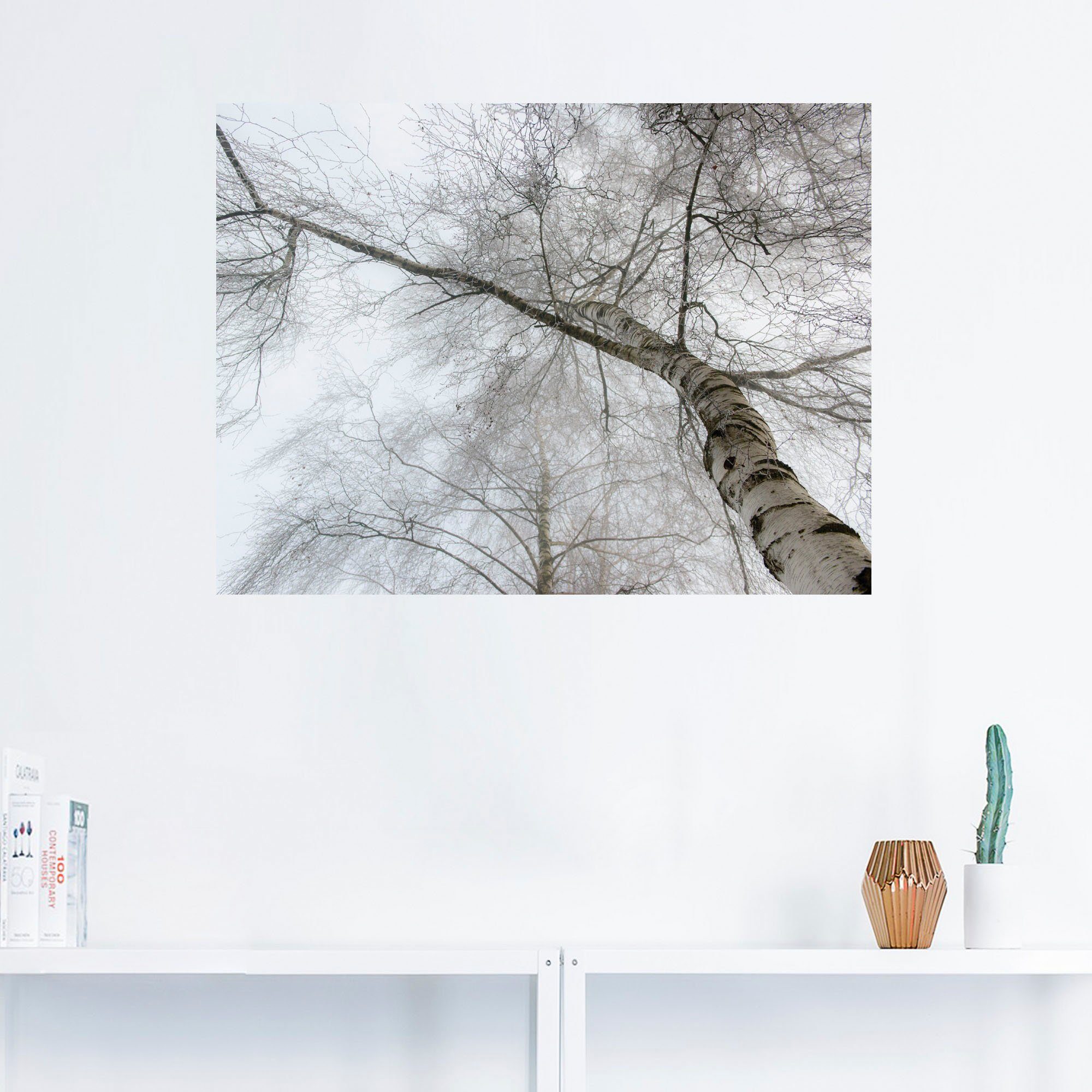 Artland Artprint Winter berk als artprint op linnen, muursticker in verschillende maten