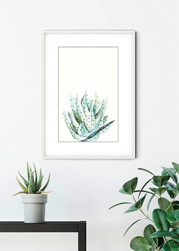 Komar Wanddecoratie Aloe Watercolor Wanddecoratie - zonder lijst (1 stuk)