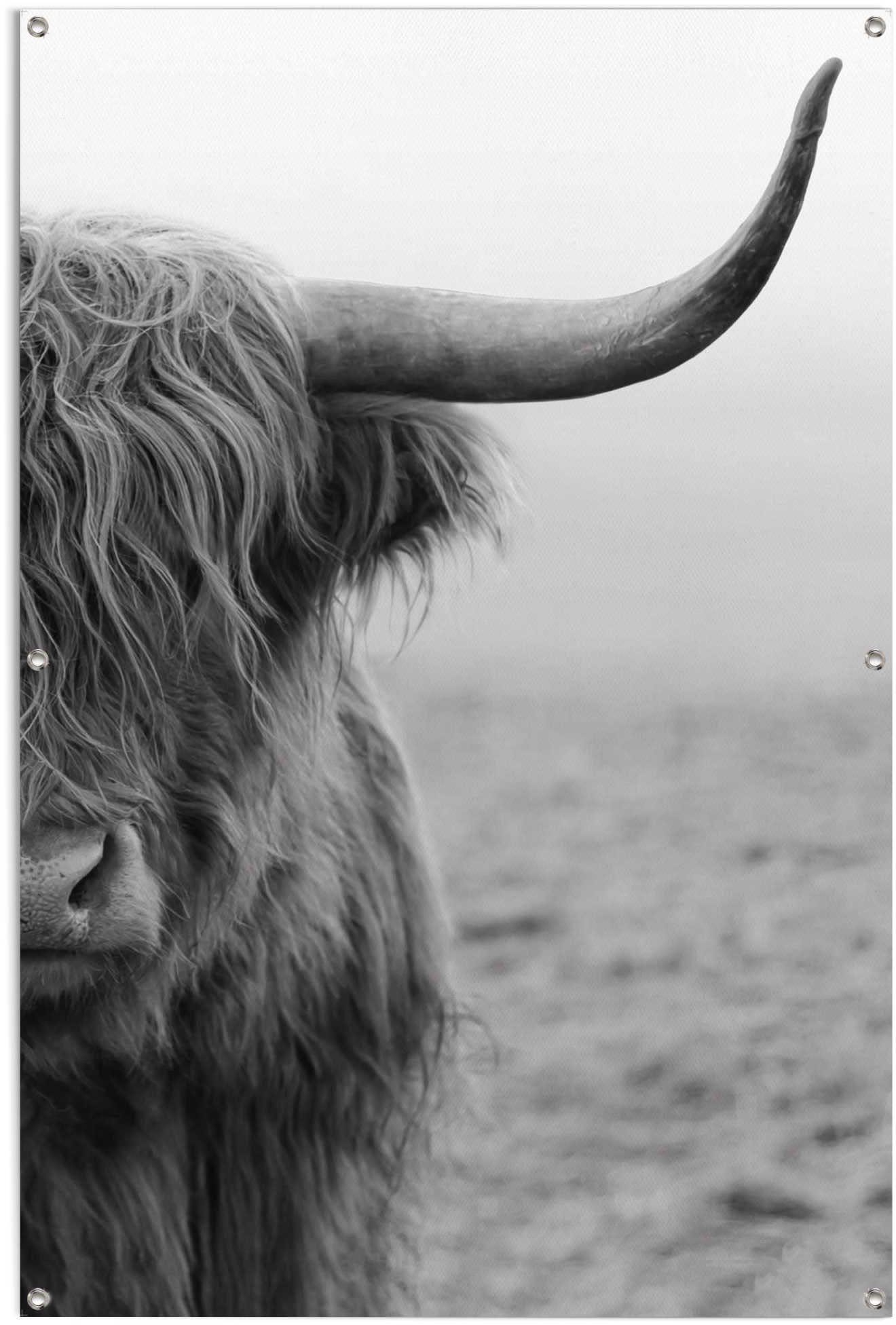 Reinders! Poster Highlander stier lichte en waterdichte tuinposter voor buiten deurposters zwart