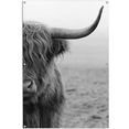 reinders! poster highlander stier lichte en waterdichte tuinposter voor buiten zwart