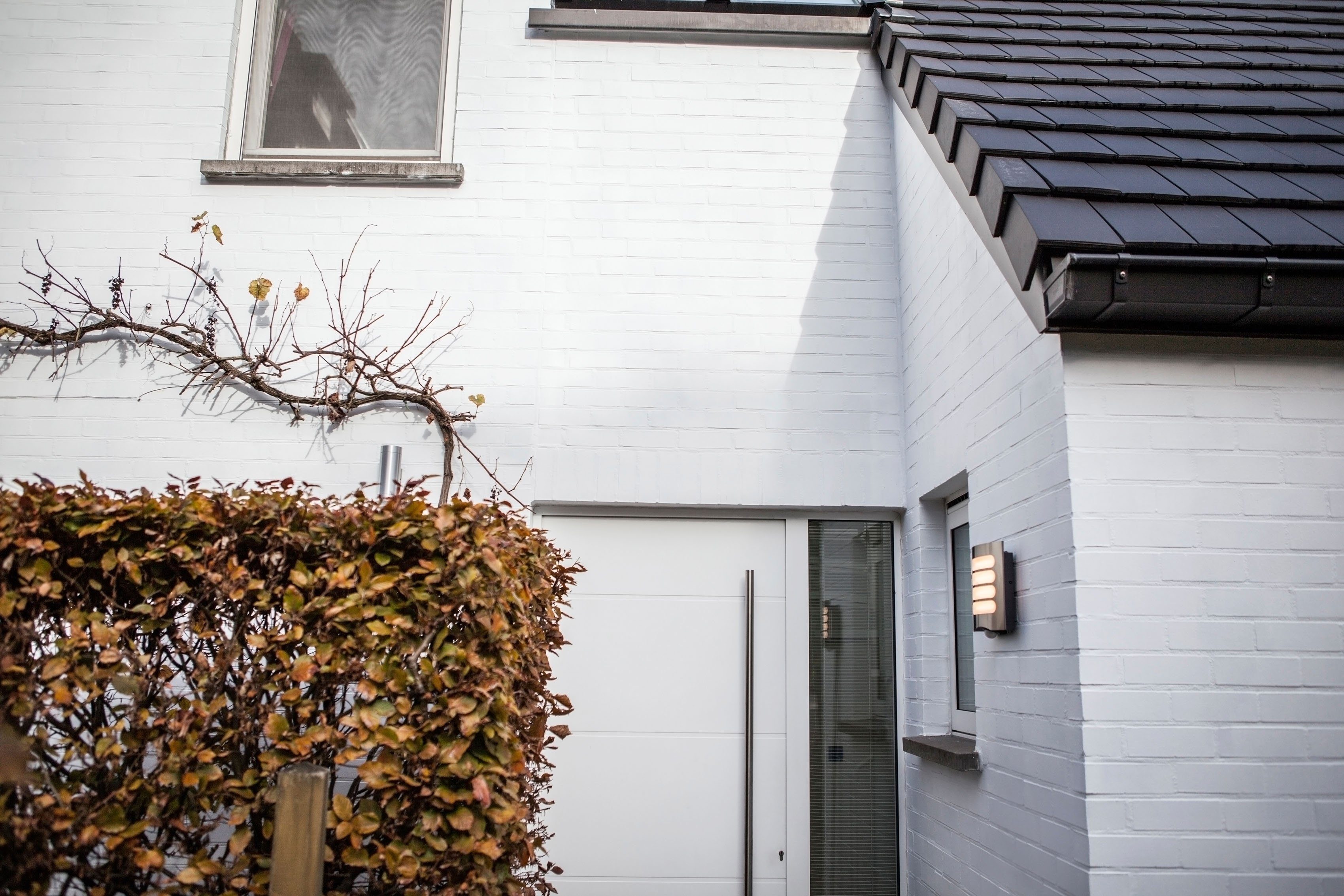 LUTEC Ledwandlamp voor buiten FARELL (1 stuk)