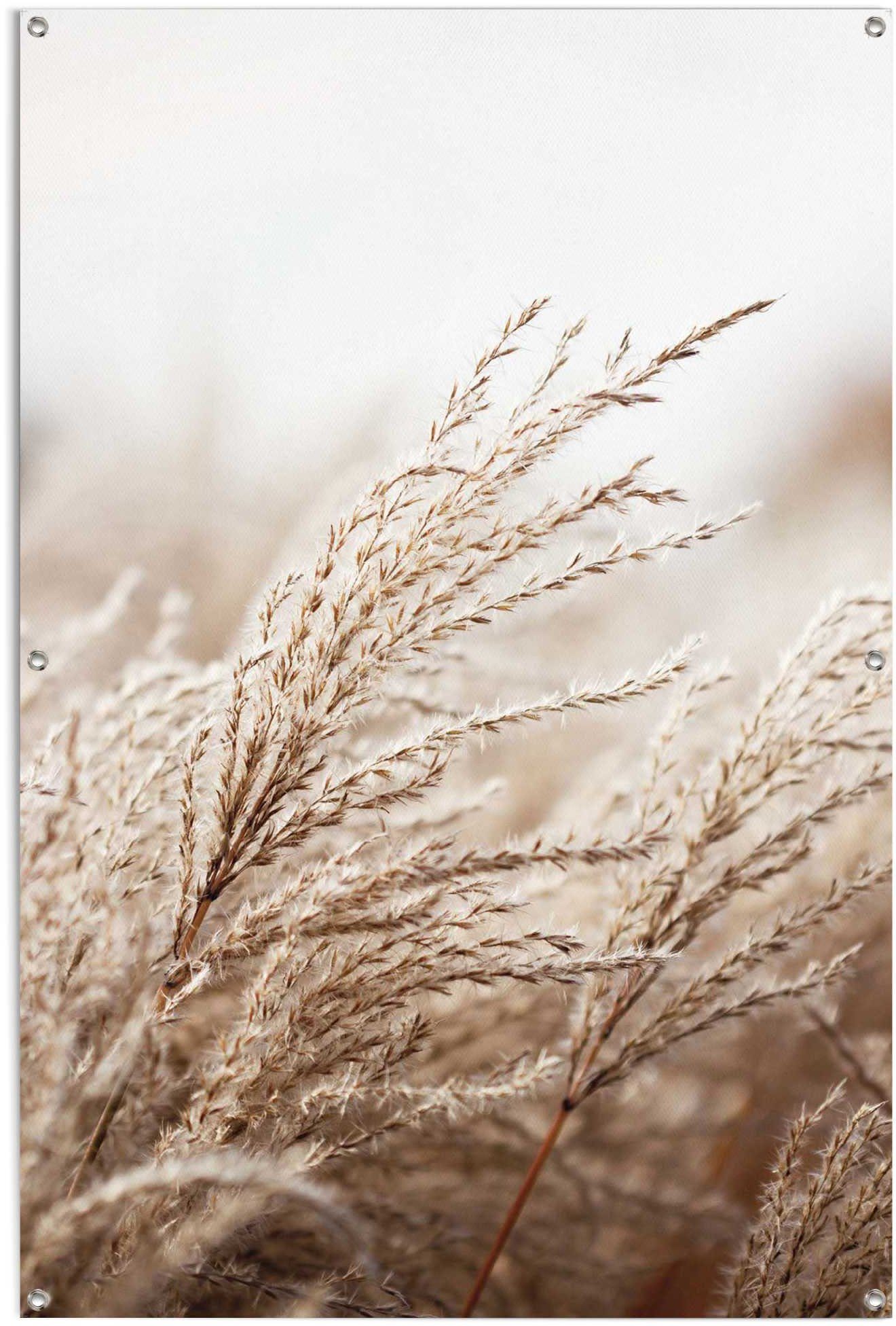 Reinders! Poster Gras lichte en waterdichte tuinposter voor buiten deurposters beige