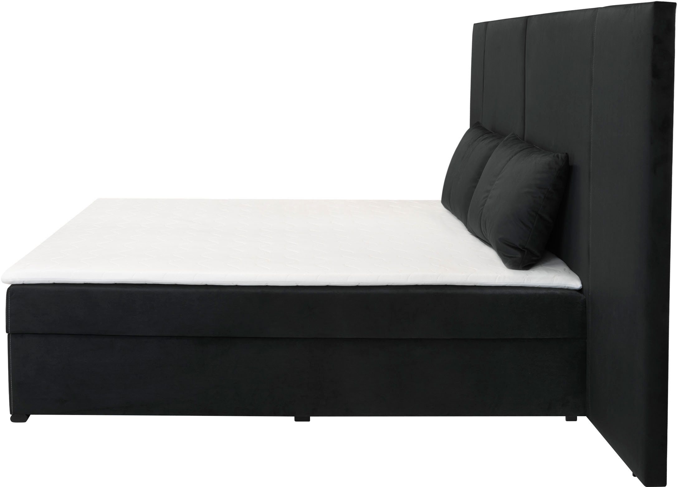 COLLECTION AB Boxspring 30 jaar jubileum model BIG incl. topmatras & bedkist, naar keuze h2,h3,h4