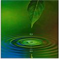 artland print op glas waterdruppels (1 stuk) groen