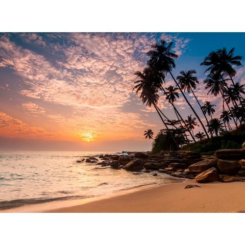 BMD fotobehang Palm Beach Sri Lanka