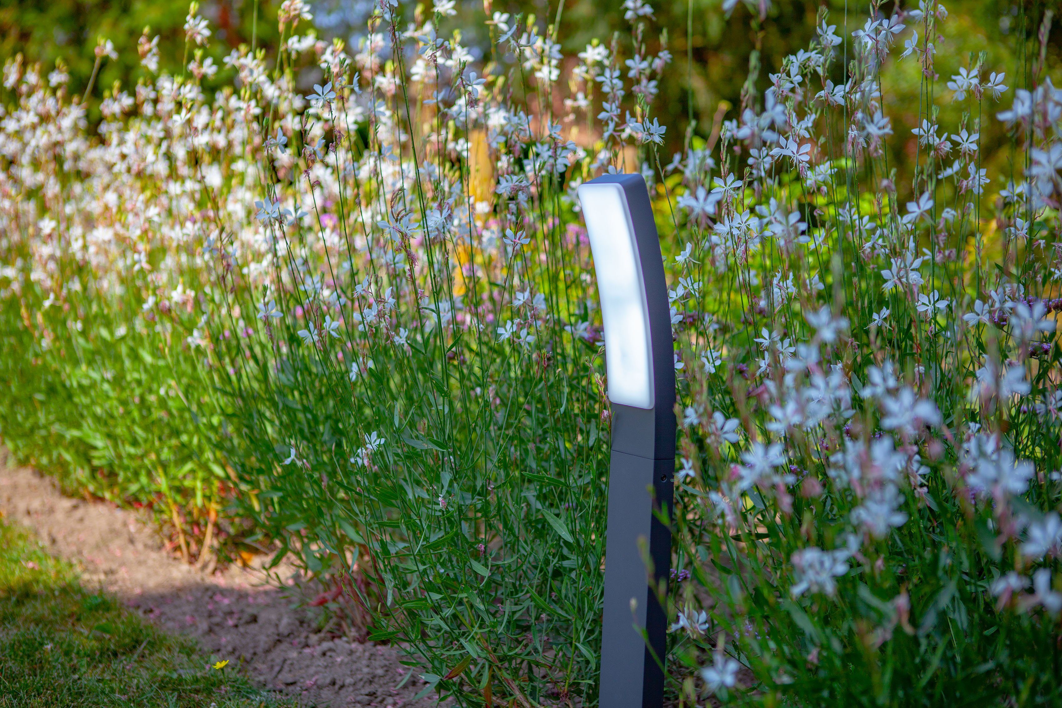 LUTEC Ledwandlamp voor buiten Kira (1 stuk)