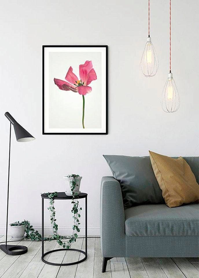 Komar Wanddecoratie TULIP Wanddecoratie - zonder lijst (1 stuk)