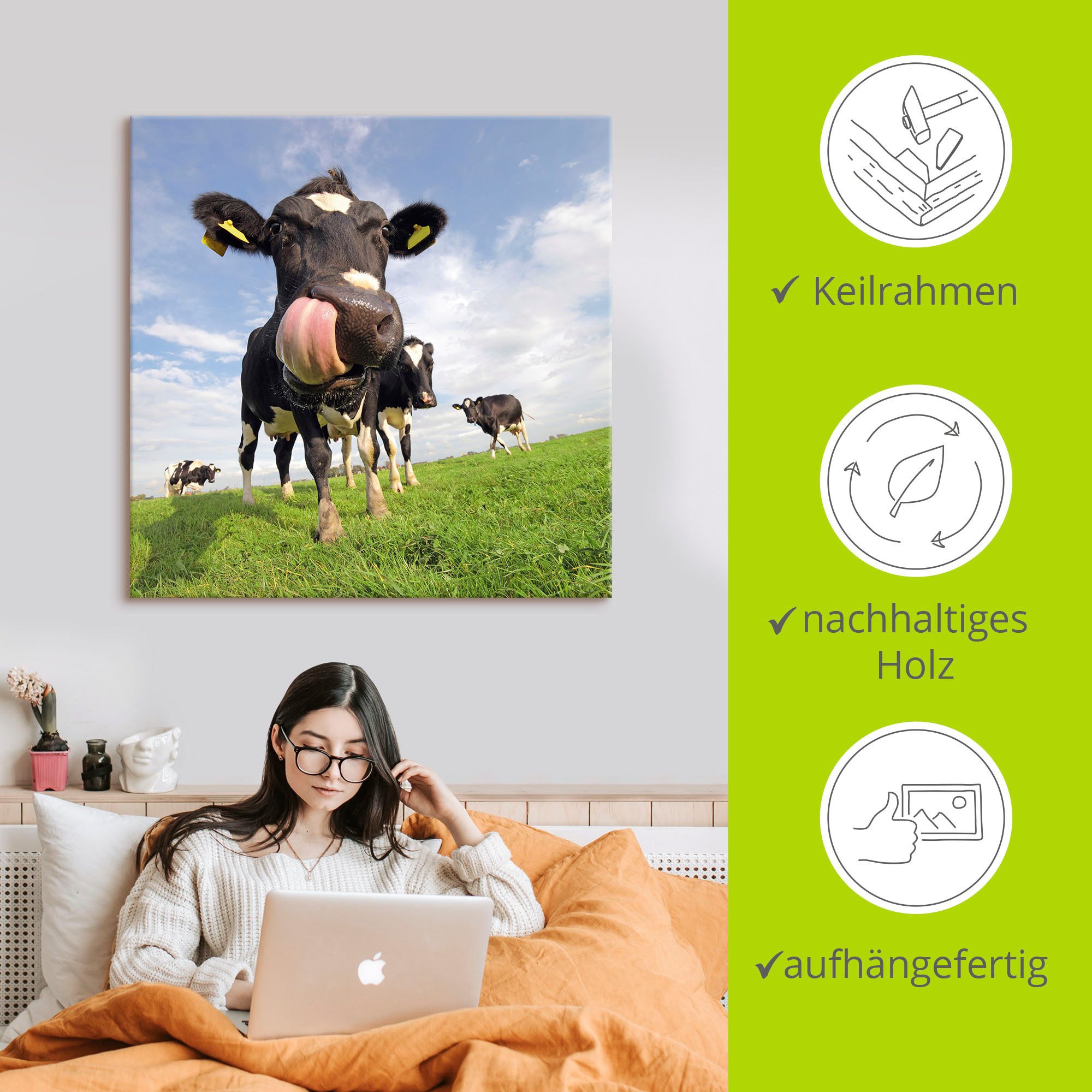 Artland Artprint Holstein-koe met enorme tong als artprint van aluminium, artprint voor buiten, artprint op linnen, poster, muursticker