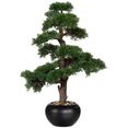 creativ green kunstplant bonsai ceder in een keramische pot (1 stuk) groen