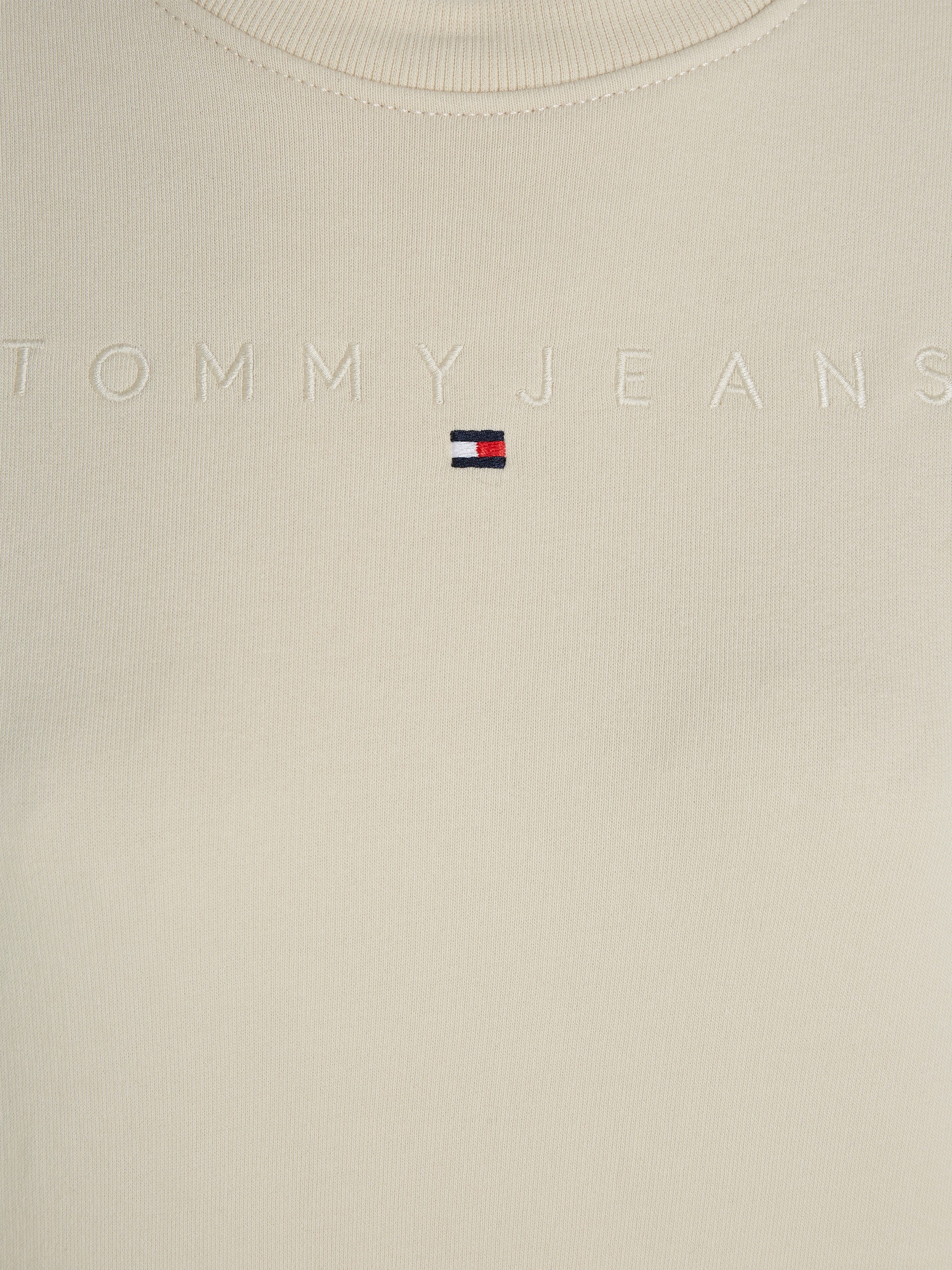 Tommy Jeans Curve Sweatshirt TJW REG LINEAR CREW EXT in grote maten met logo-opschrift