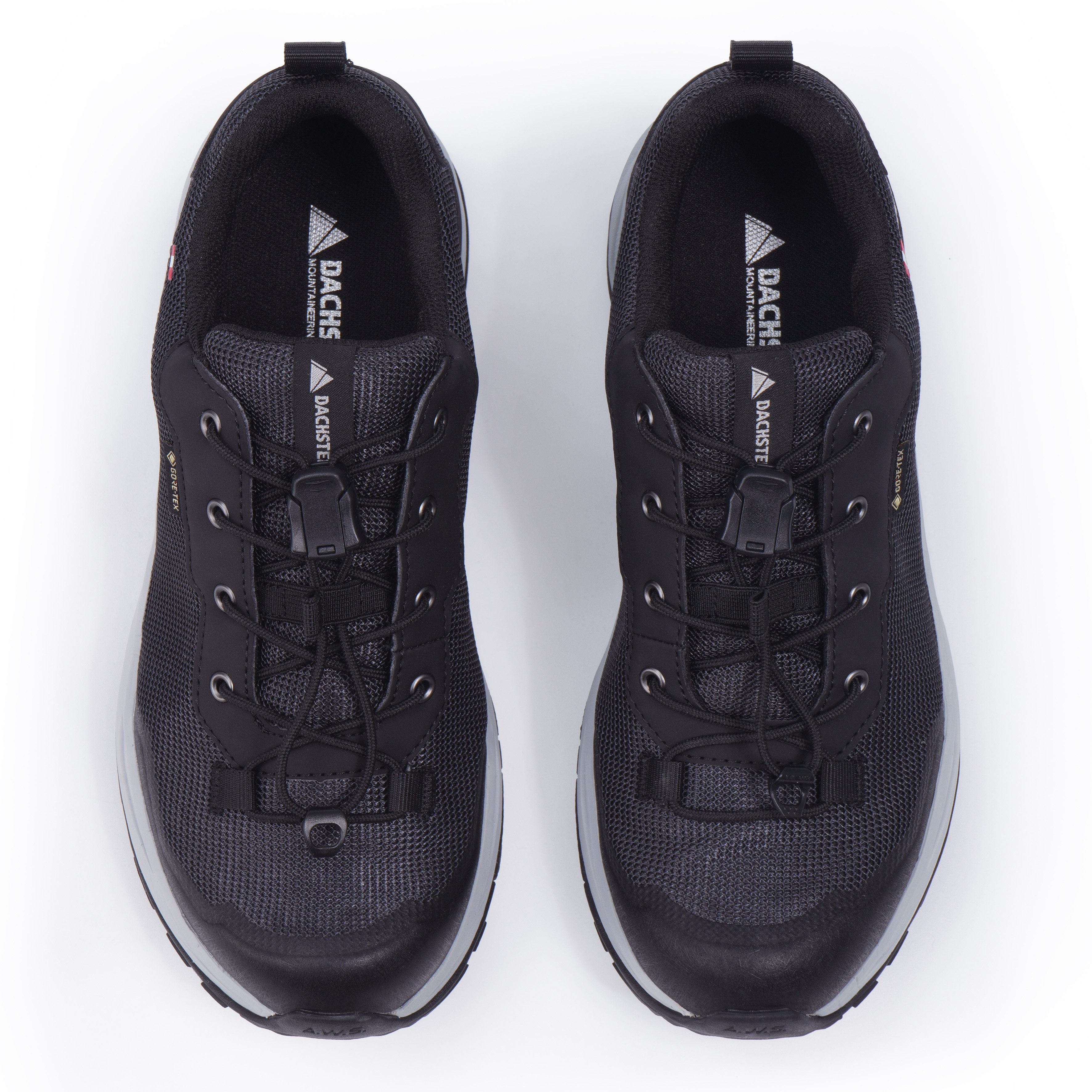 Dachstein Wandelschoenen DELTA ASCENT GORE-TEX WMN