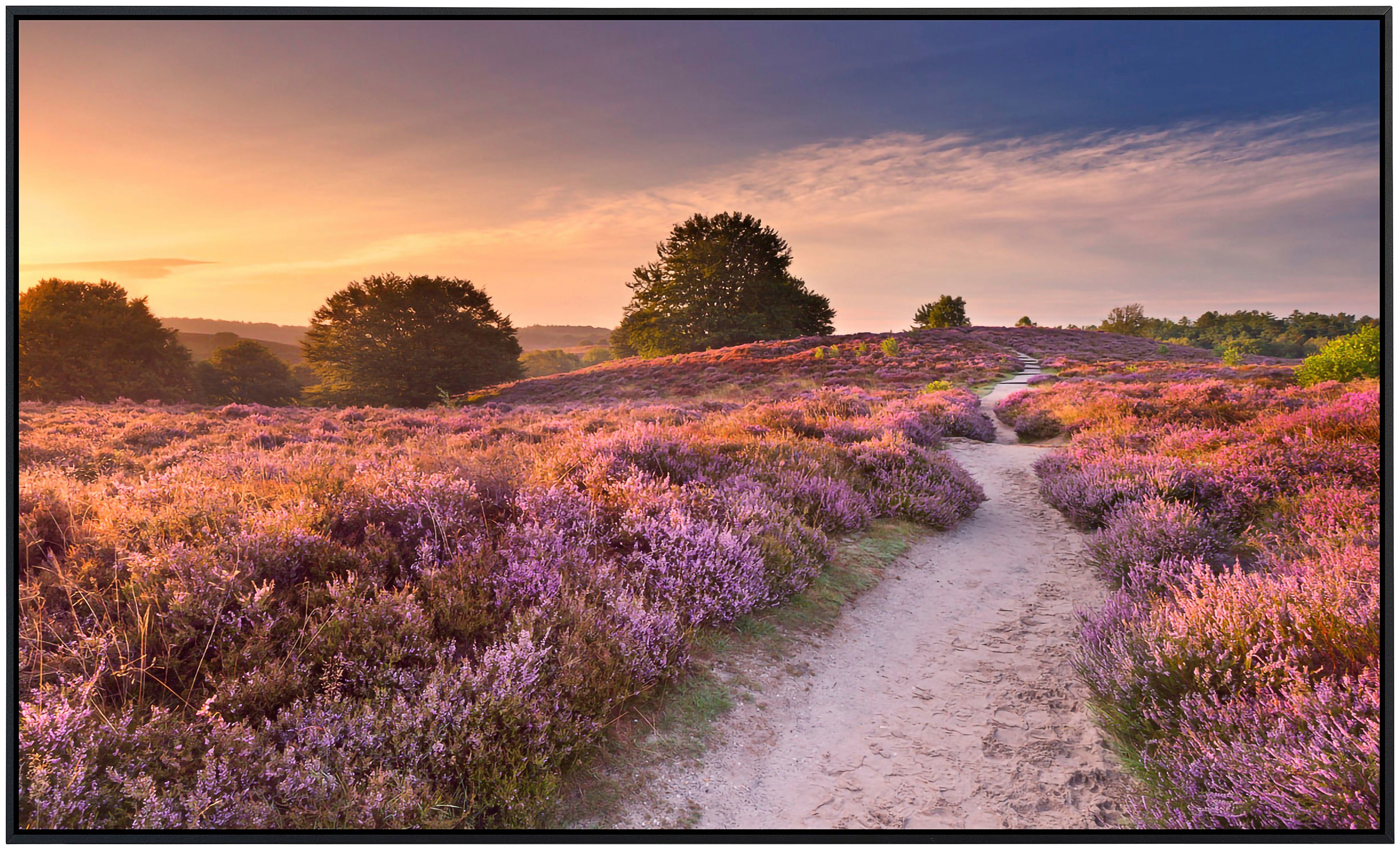 Papermoon Infraroodverwarming Fleurige erica bij zonsopkomst