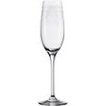 leonardo champagneglas chateau 200 ml, teqton-kwaliteit, 6-delig (set) wit