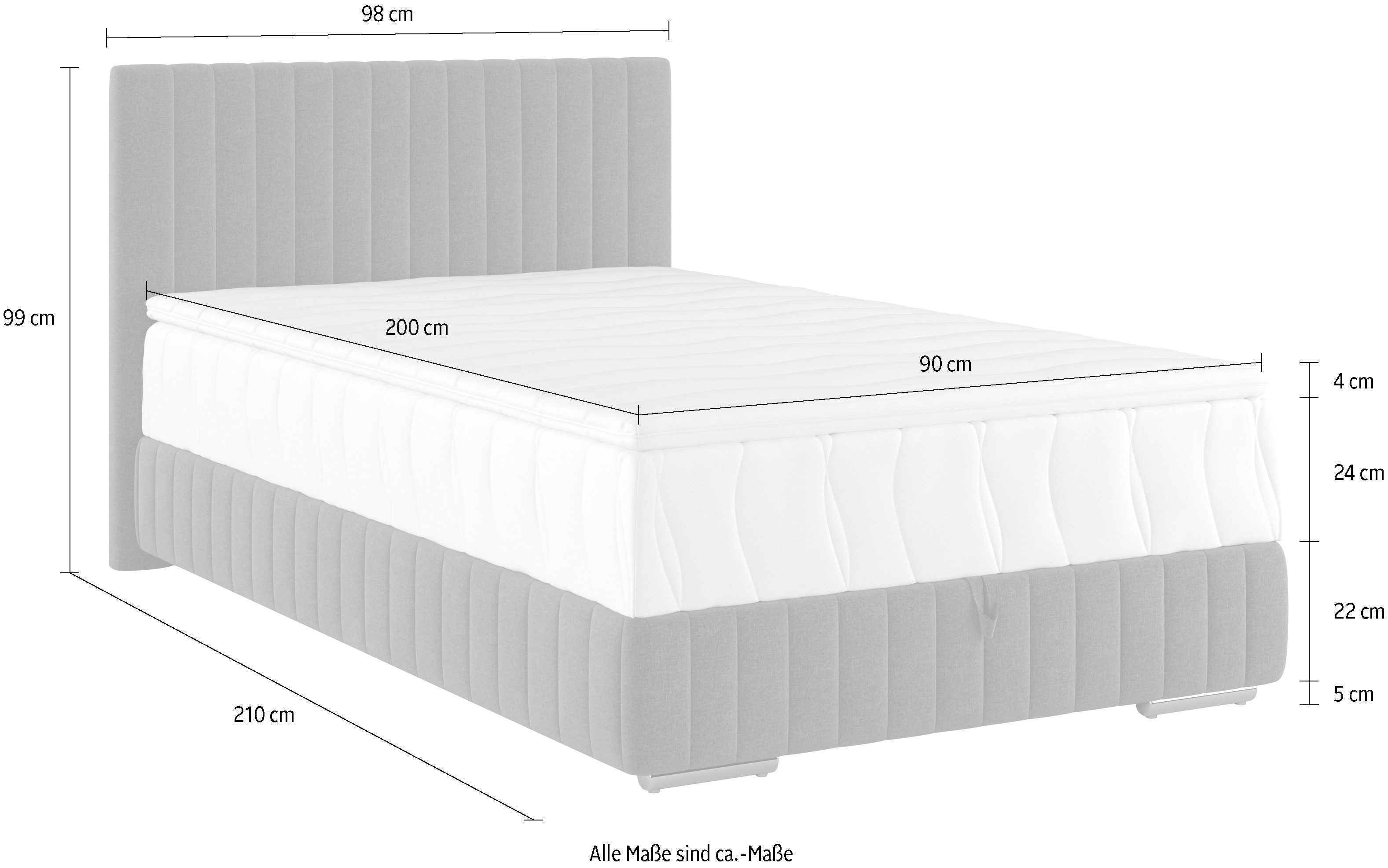 COTTA Boxspring Beetle incl. matrastopper en bedlade