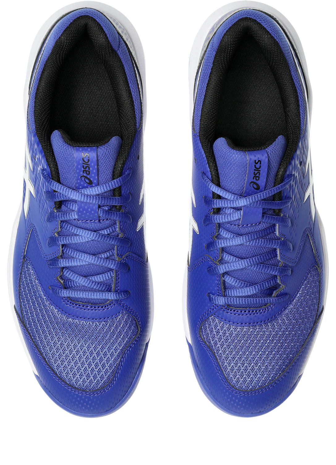 Asics Tennisschoenen GEL-DEDICATE 8 CLAY