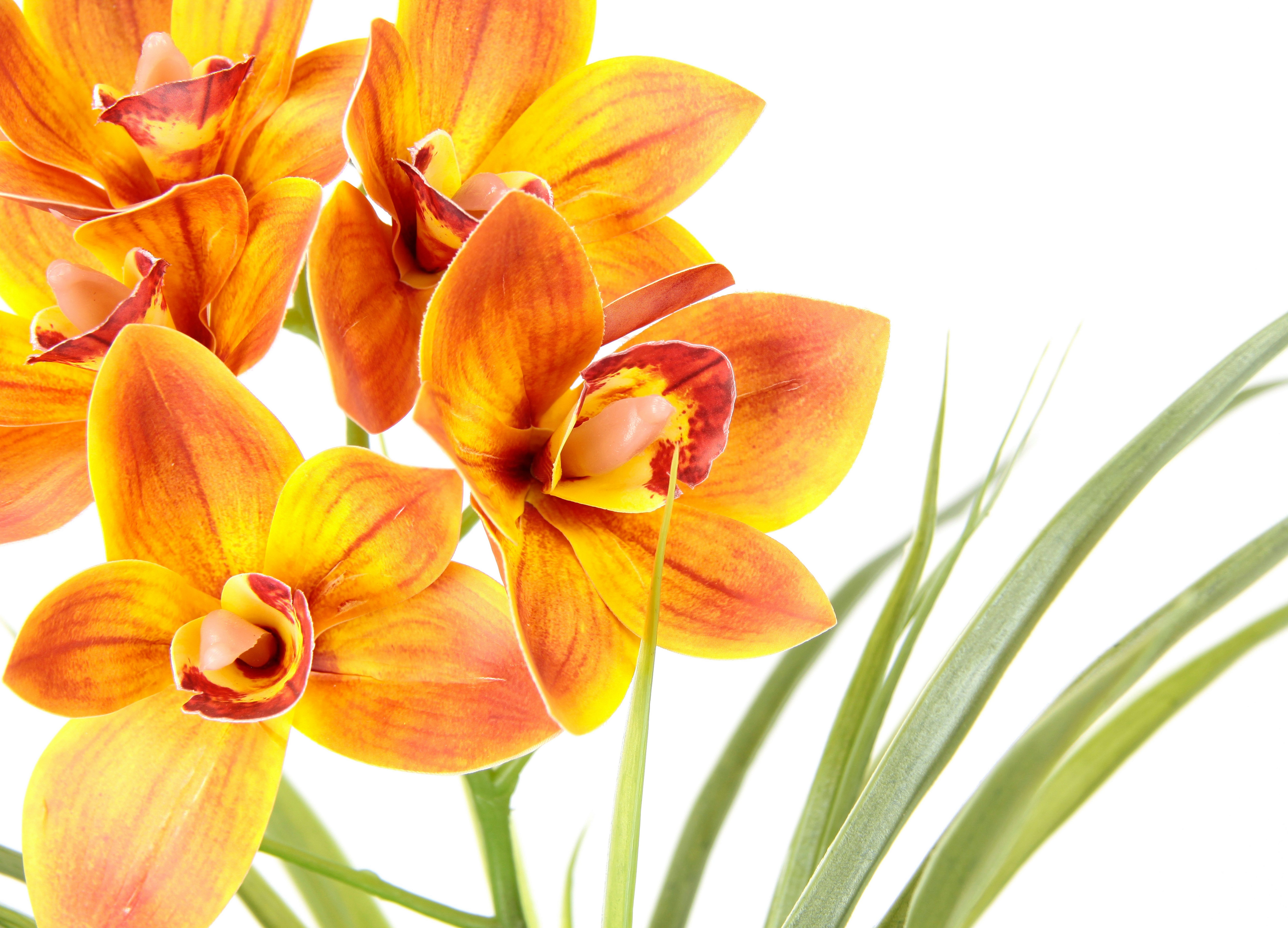 my home Kunstbloem Orchidee Met bladeren in pot van cement, kunstbloem Cymbidium-orchidee (1 stuk)