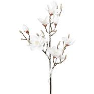 creativ light decoratieve ledverlichting magnolia in besneeuwde look, 15 leds, 115 cm, batterij 3xaa wit