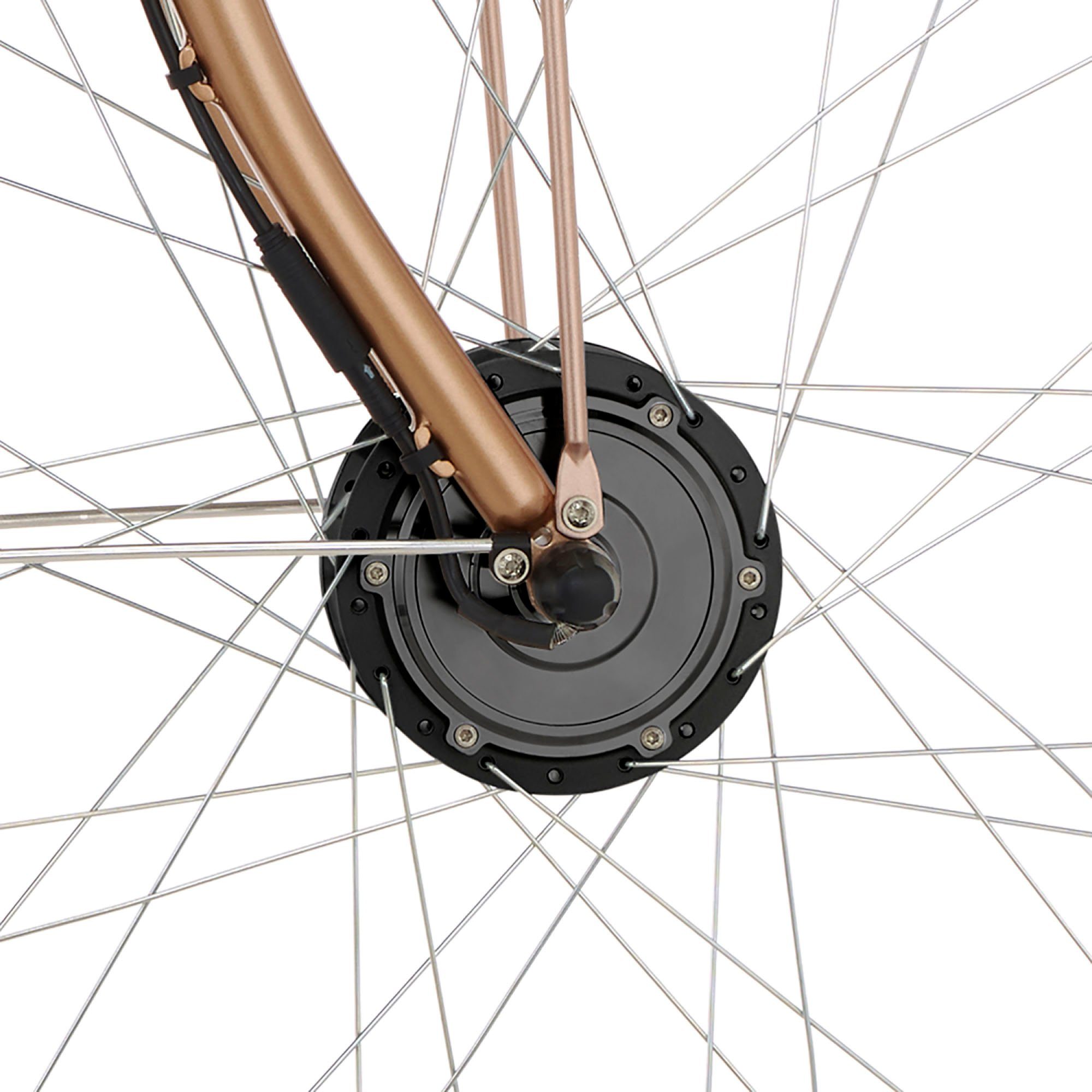 Fischer E-bike CITA RETRO 2.2 522 Pedelec, elektrische fiets voor dames en heren