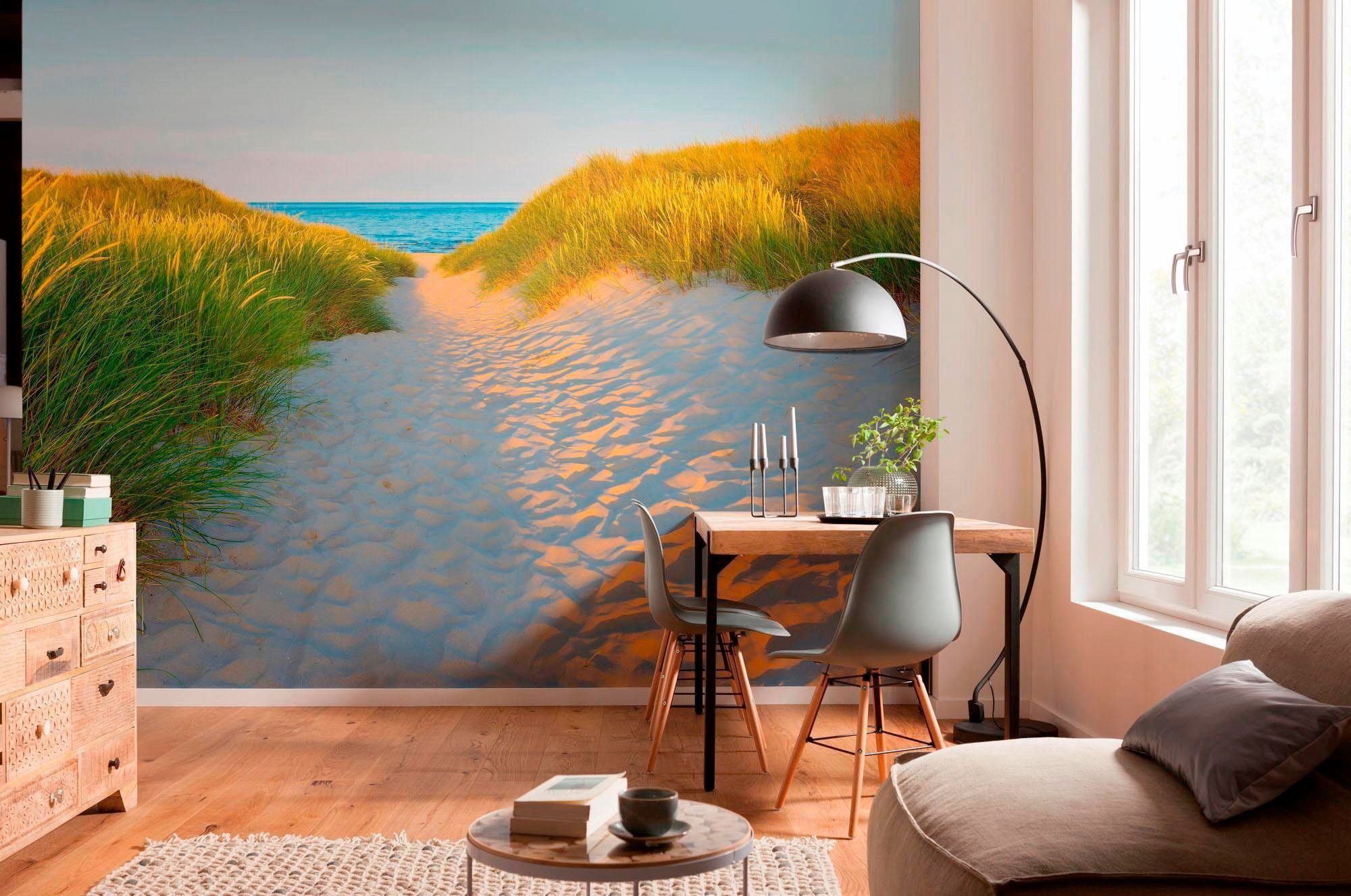 Komar Fotobehang Sandy Path - Afmeting 368 x 254 cm (set)