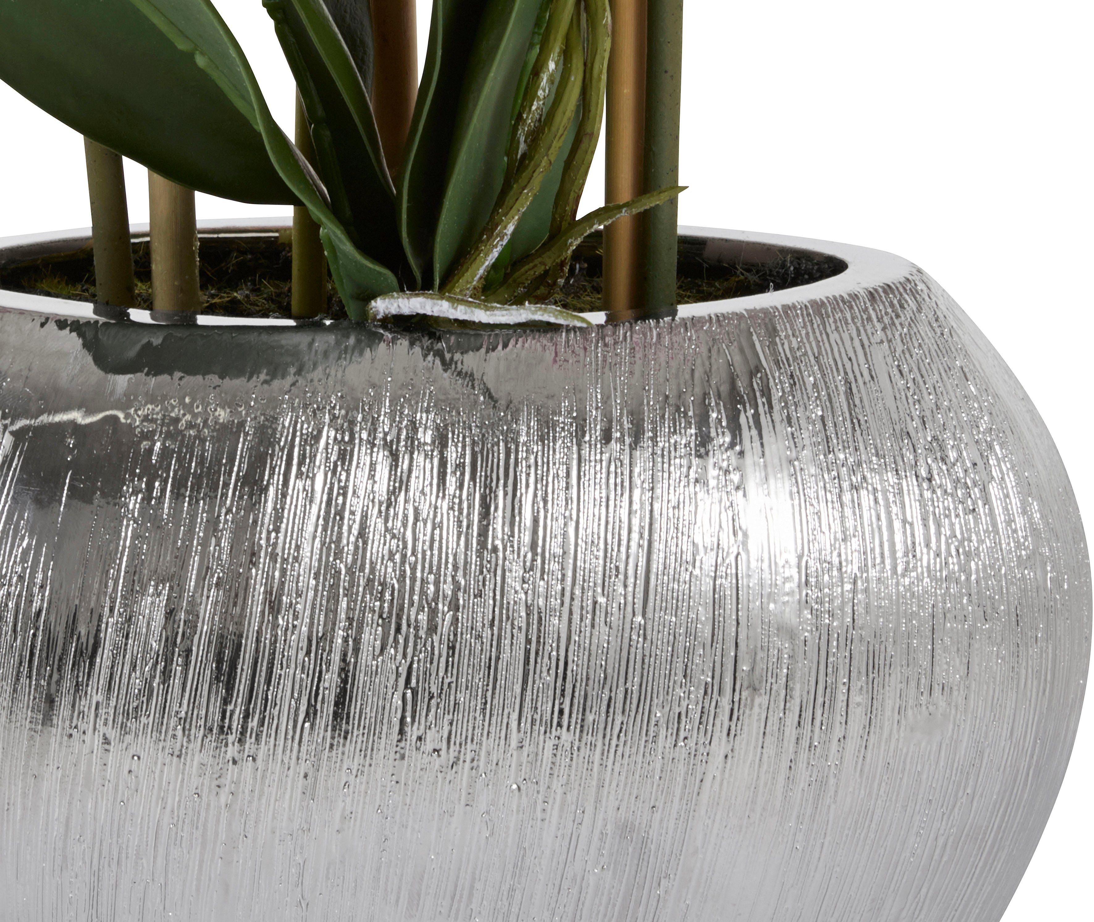 Home affaire Kunstplant Orchidee Kunstorchidee, in een pot (1 stuk)