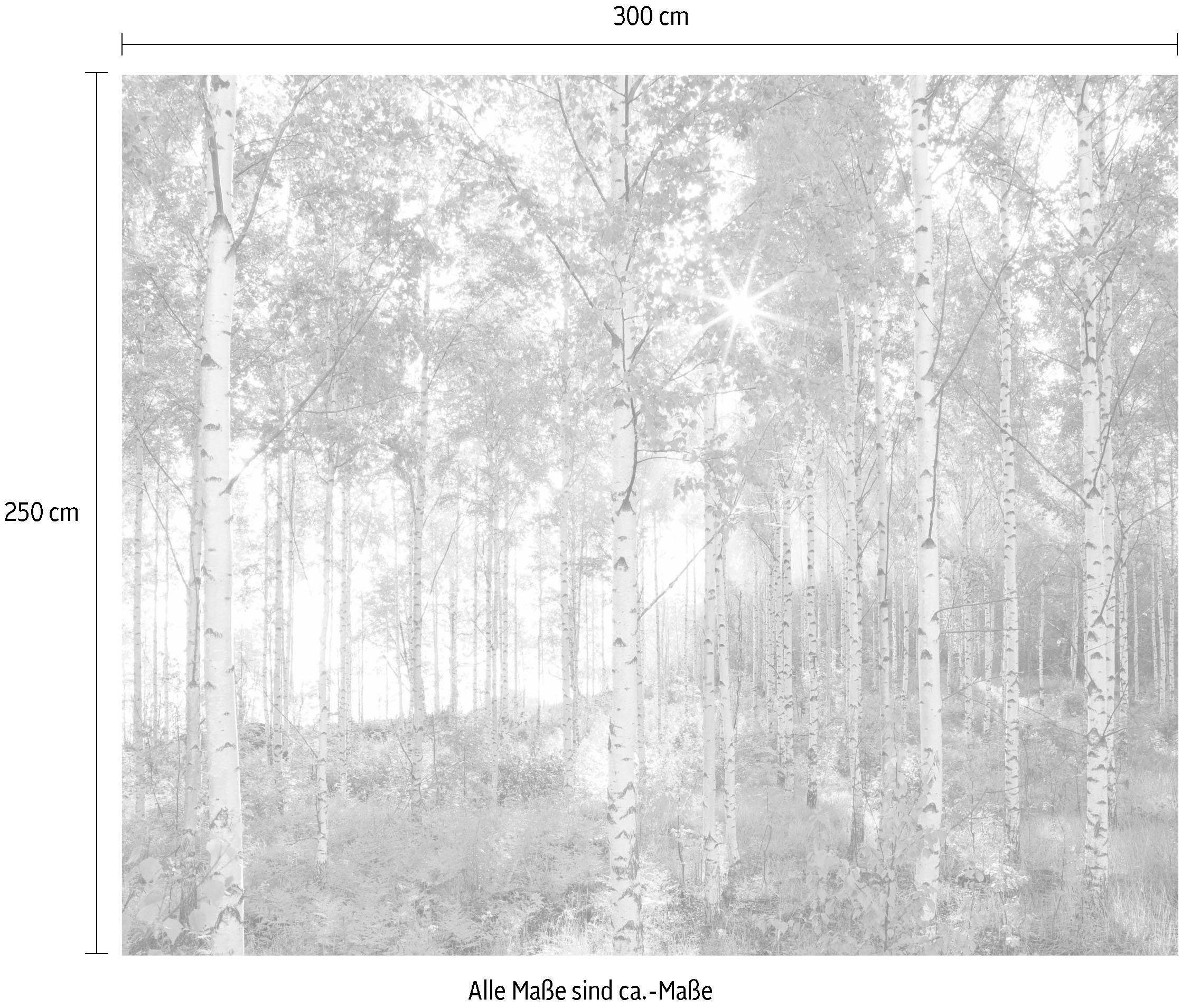 Komar Vliesbehang Digitale print vlies - Sunday - Afmeting 300 x 250 cm (1 stuk)